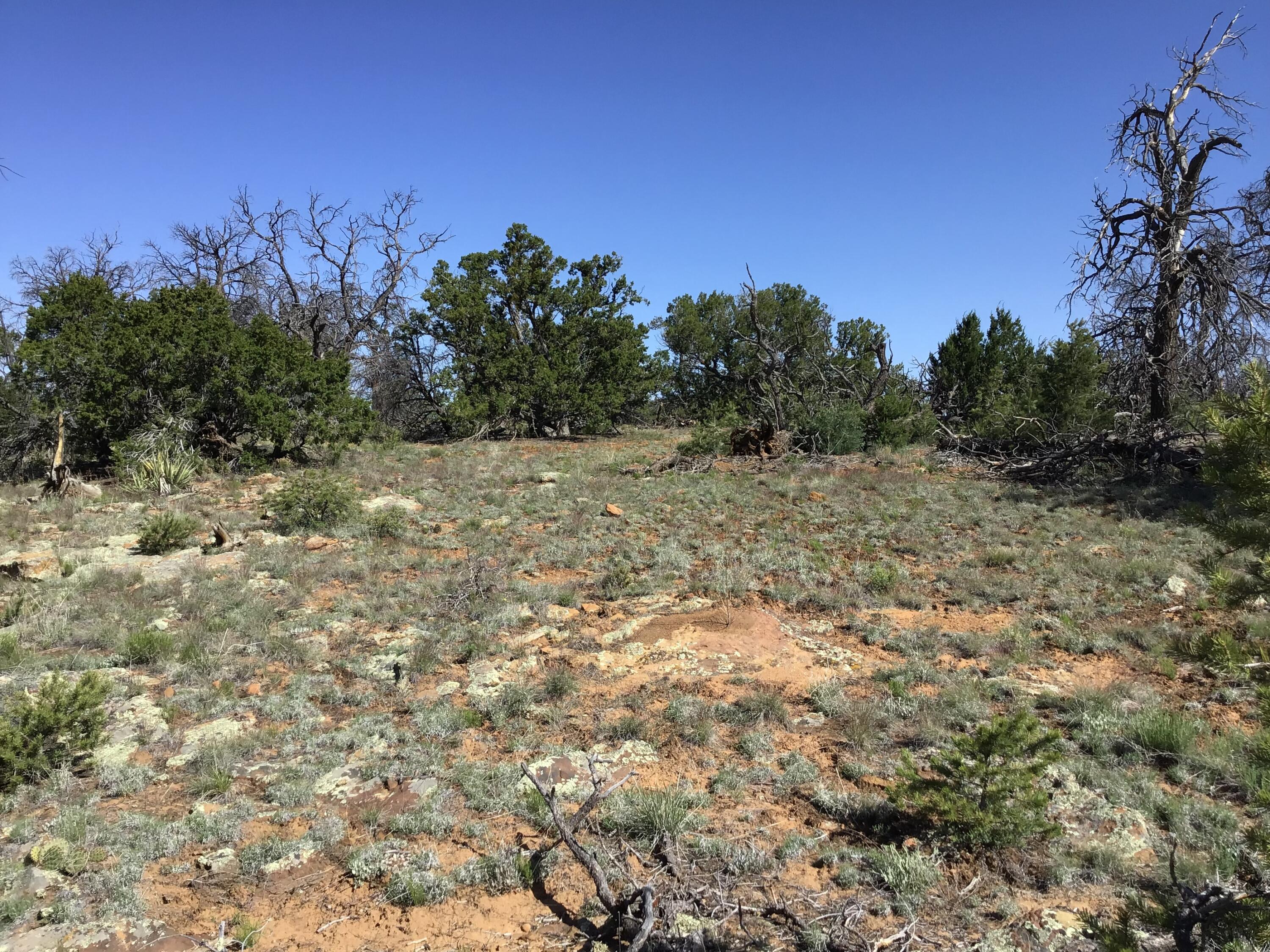 Lot 202 Canyon Cove, Ramah, New Mexico image 15