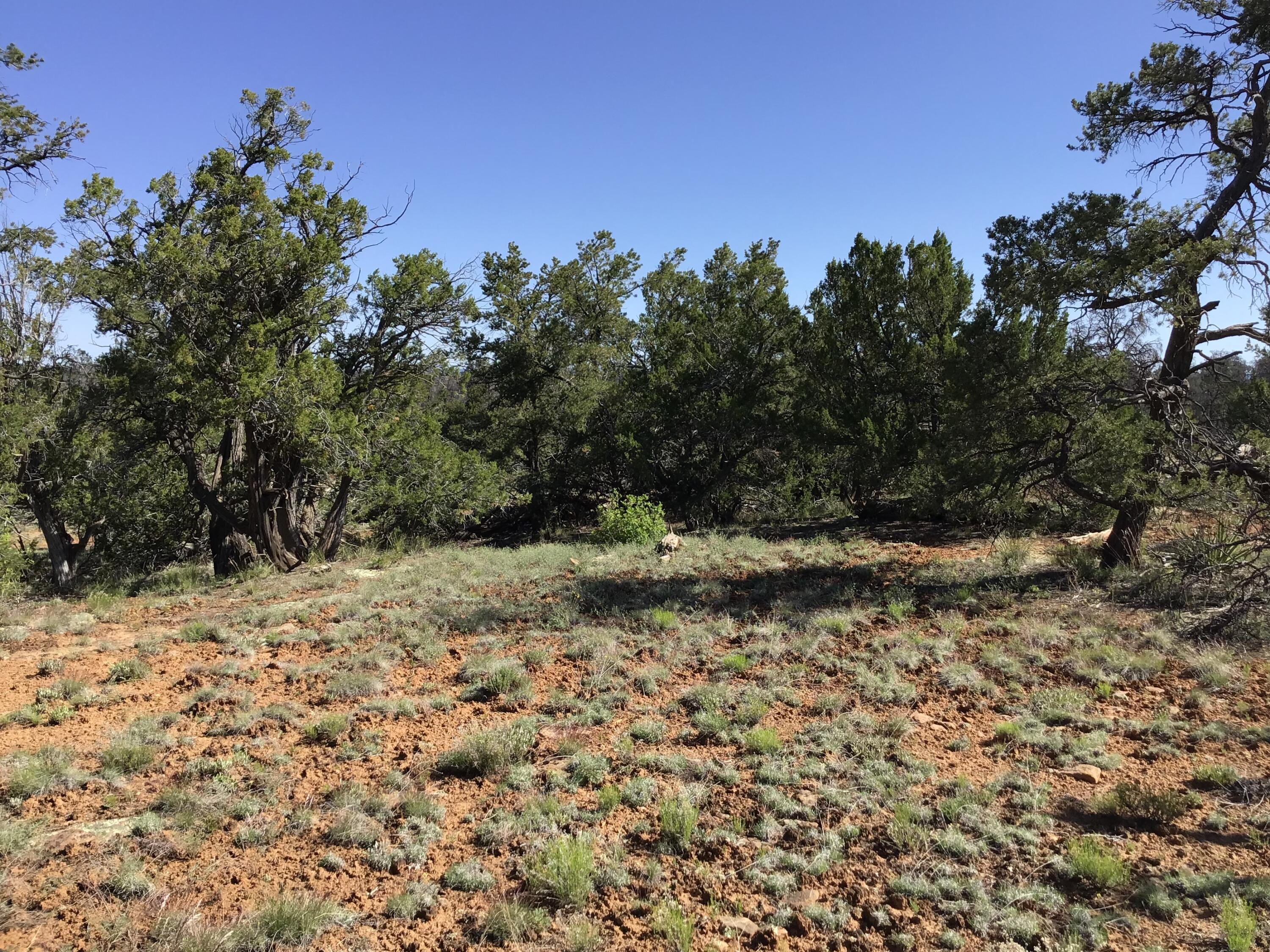 Lot 202 Canyon Cove, Ramah, New Mexico image 21