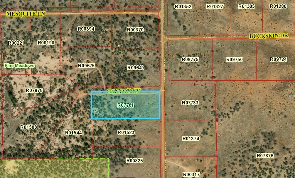 Lot 202 Canyon Cove, Ramah, New Mexico image 1