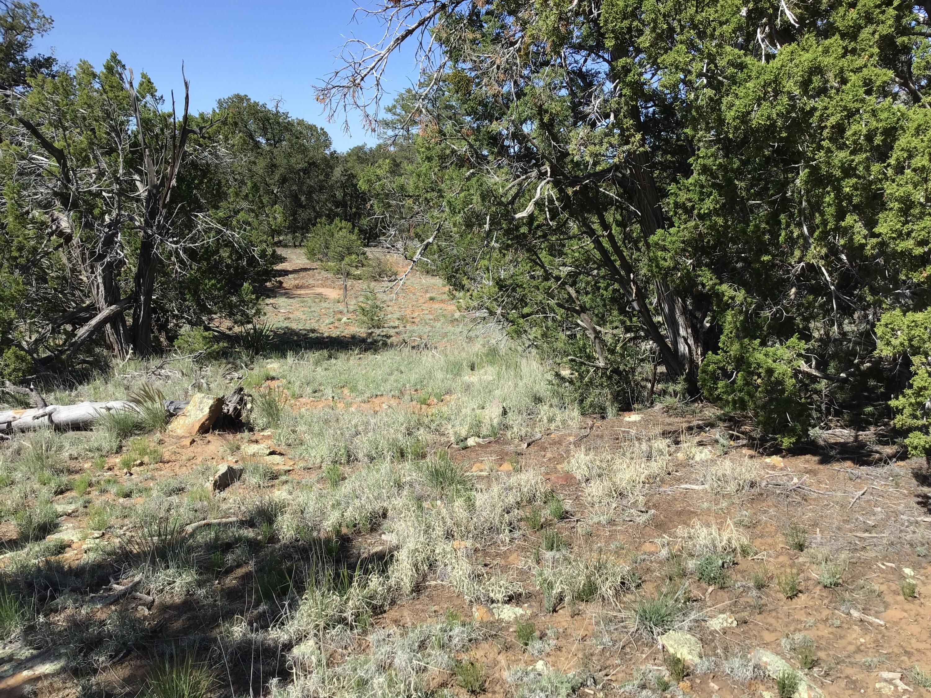 Lot 202 Canyon Cove, Ramah, New Mexico image 14