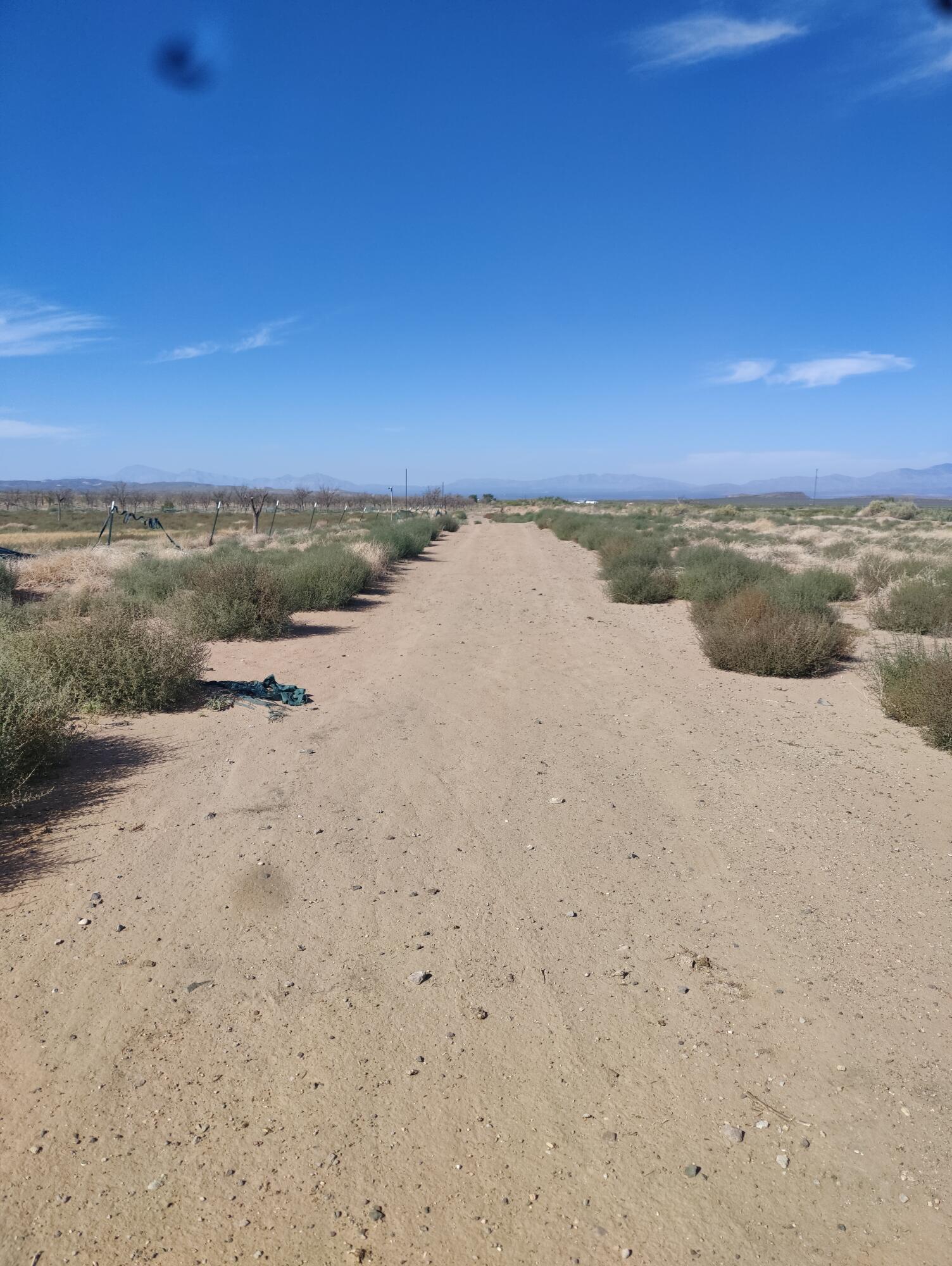 203 Grande Avenue, Carrizozo, New Mexico image 35