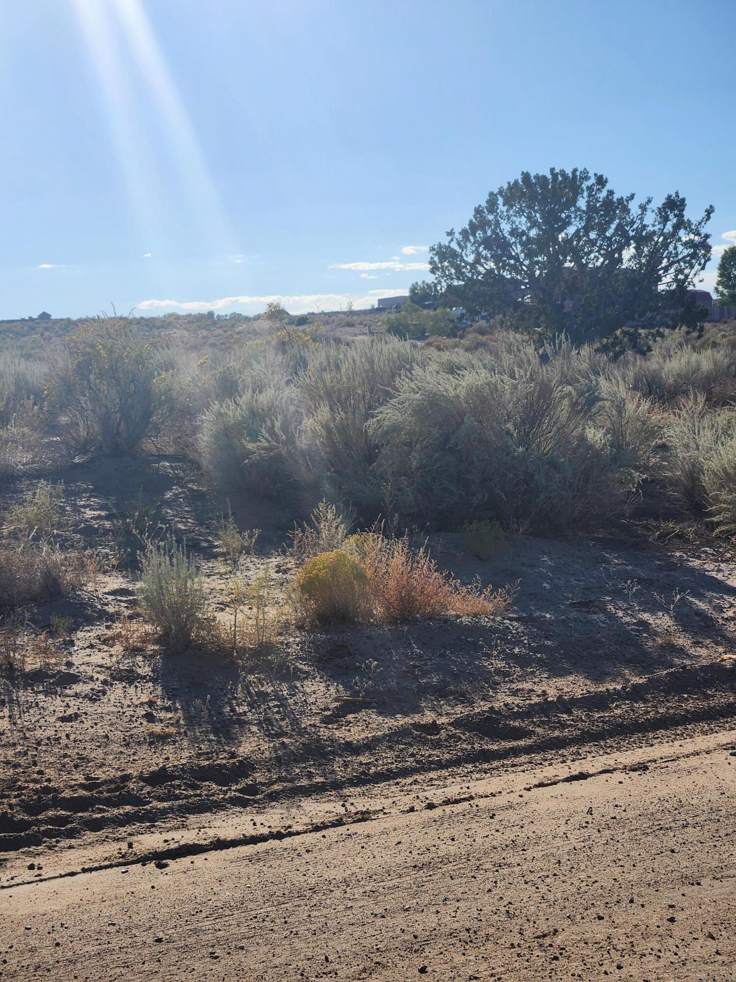 Chessman Drive, Rio Rancho, New Mexico image 3