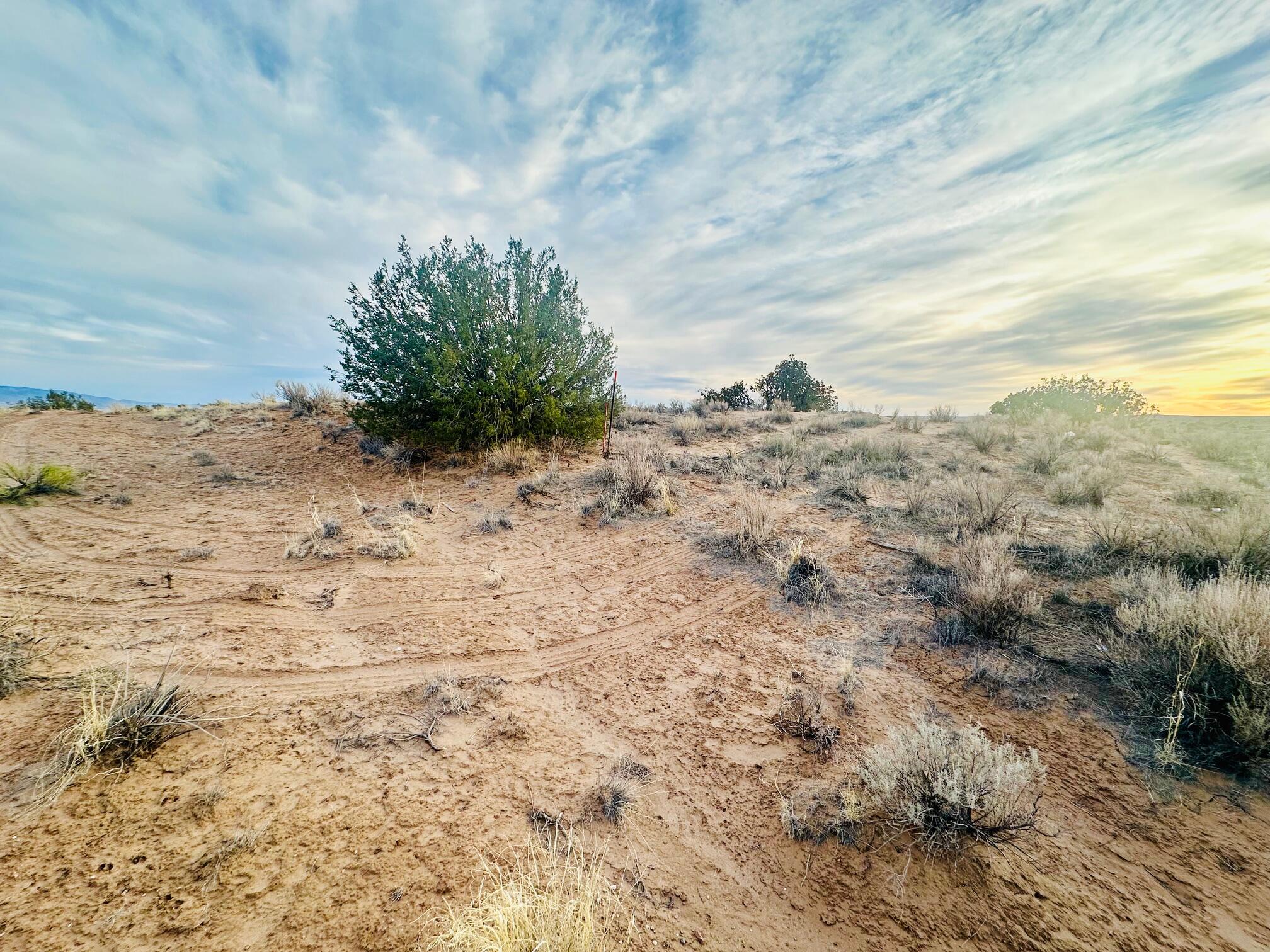 5309 Braga Court, Rio Rancho, New Mexico image 6