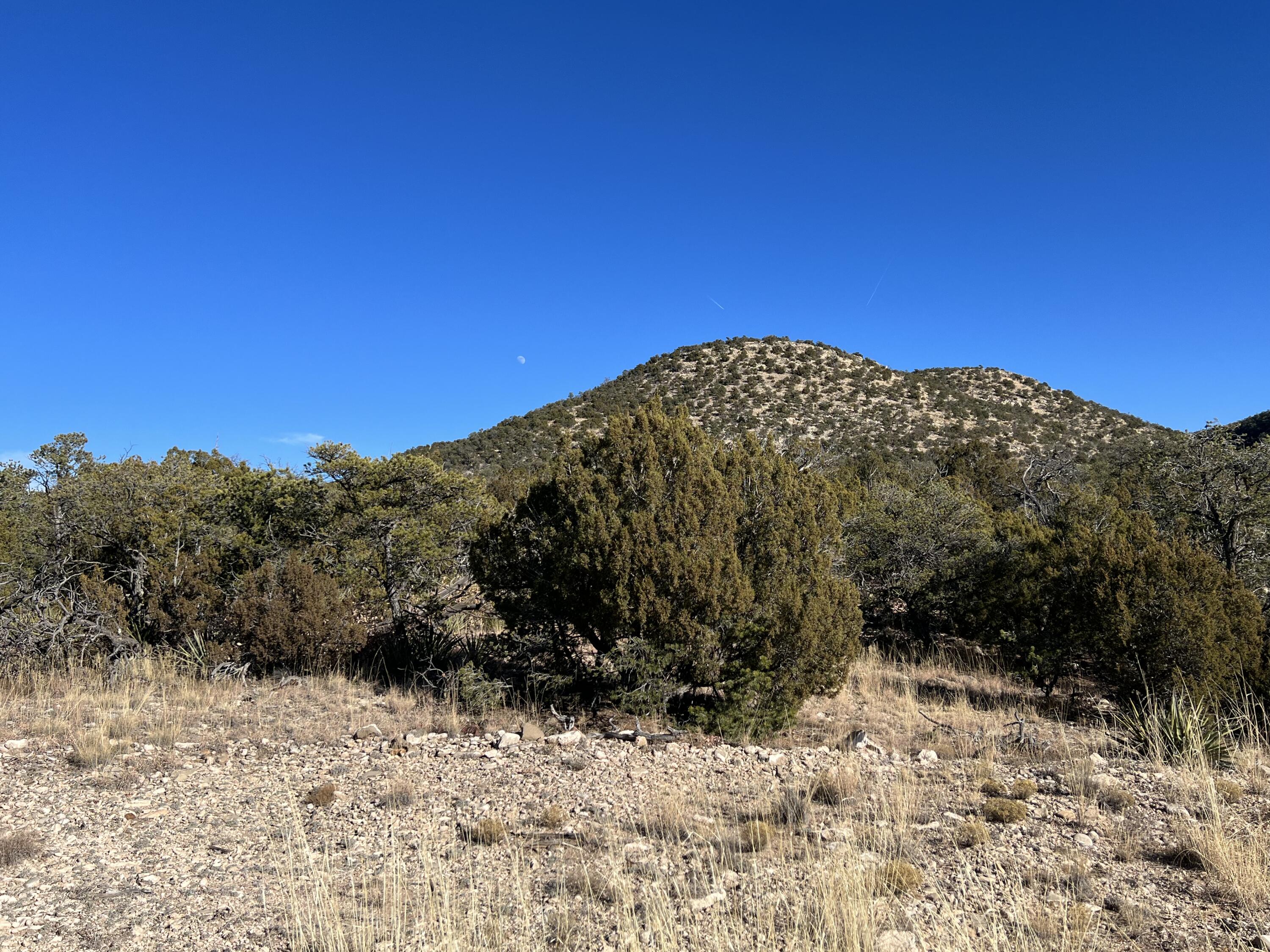 6 Chato Trail, Mountainair, New Mexico image 14