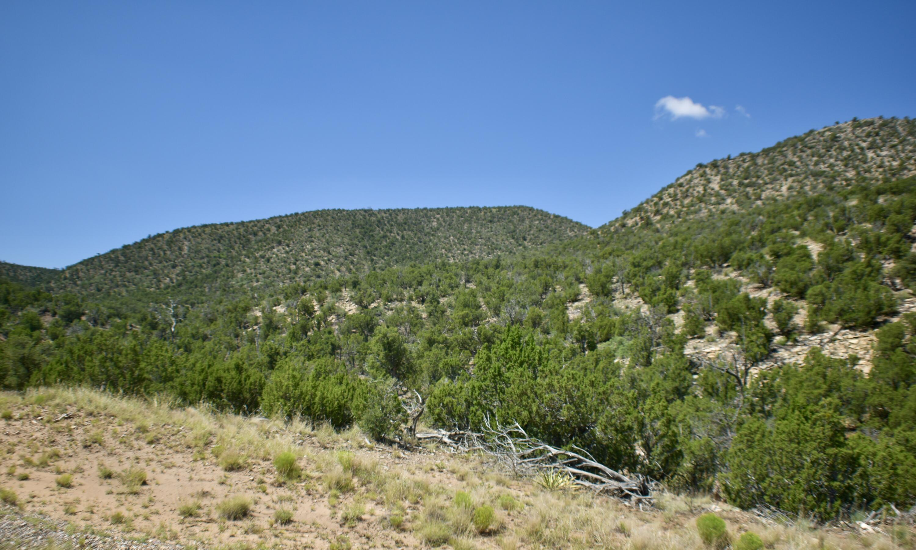 6 Chato Trail, Mountainair, New Mexico image 2