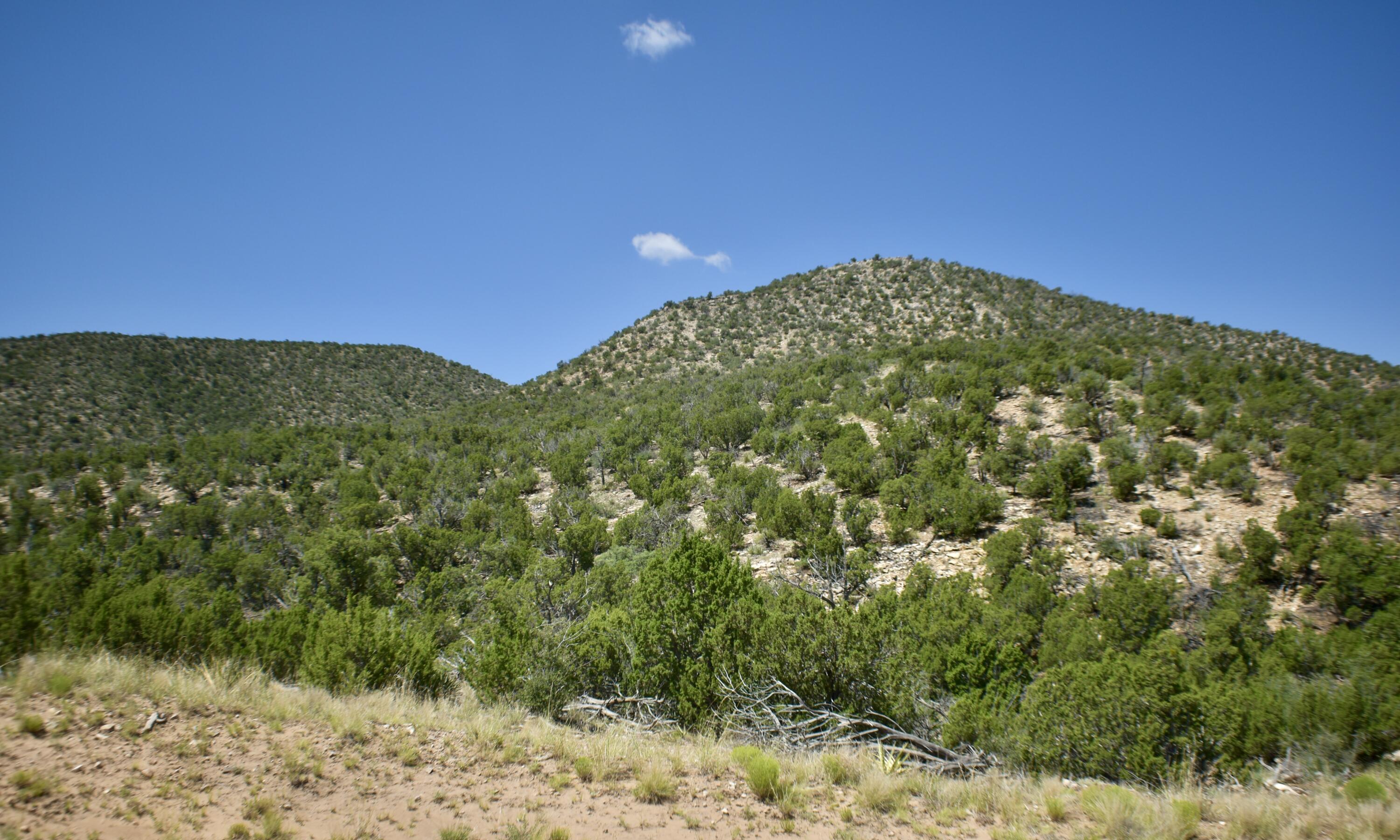 6 Chato Trail, Mountainair, New Mexico image 4