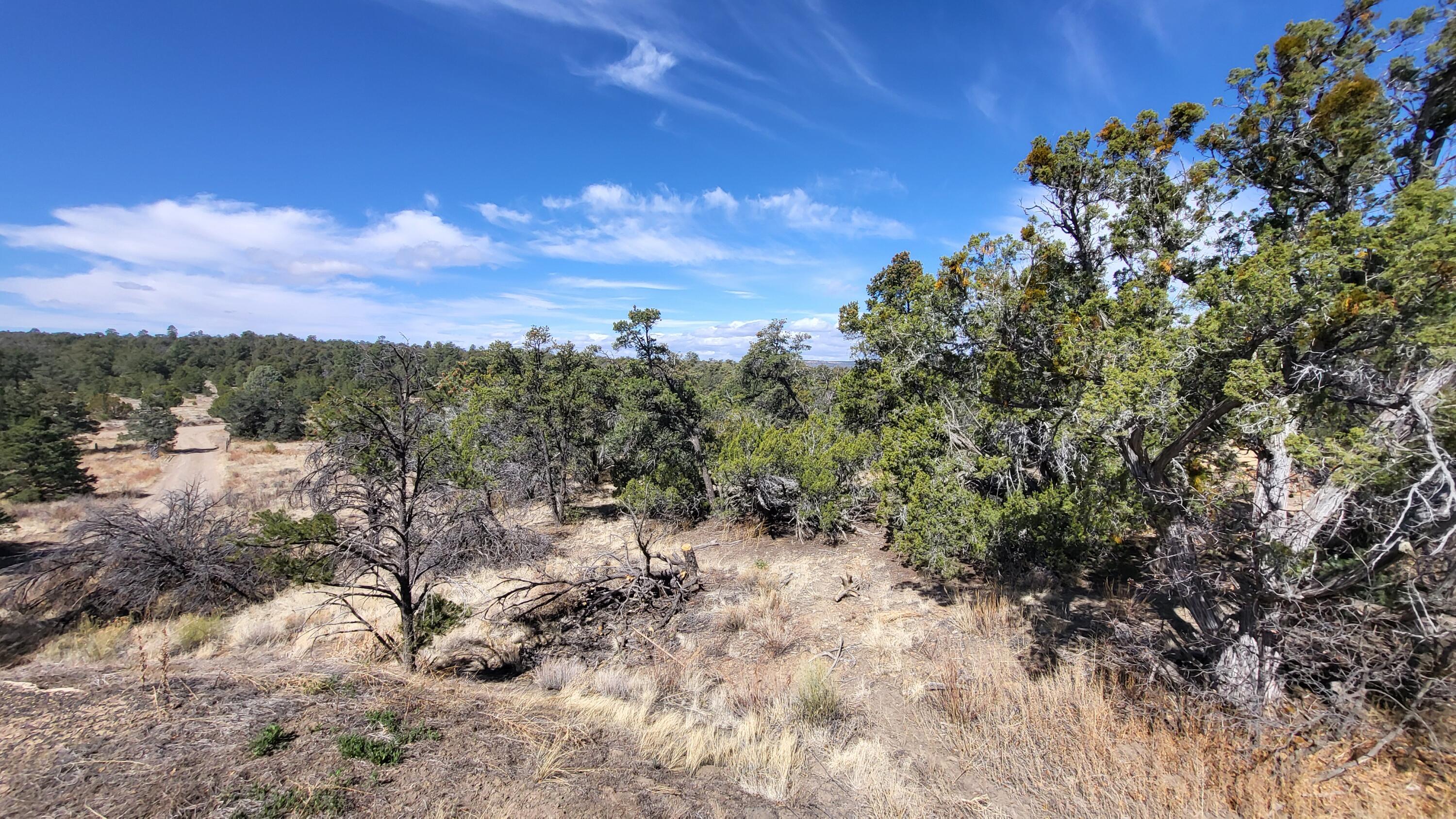 86 Bodean Road, Ramah, New Mexico image 33