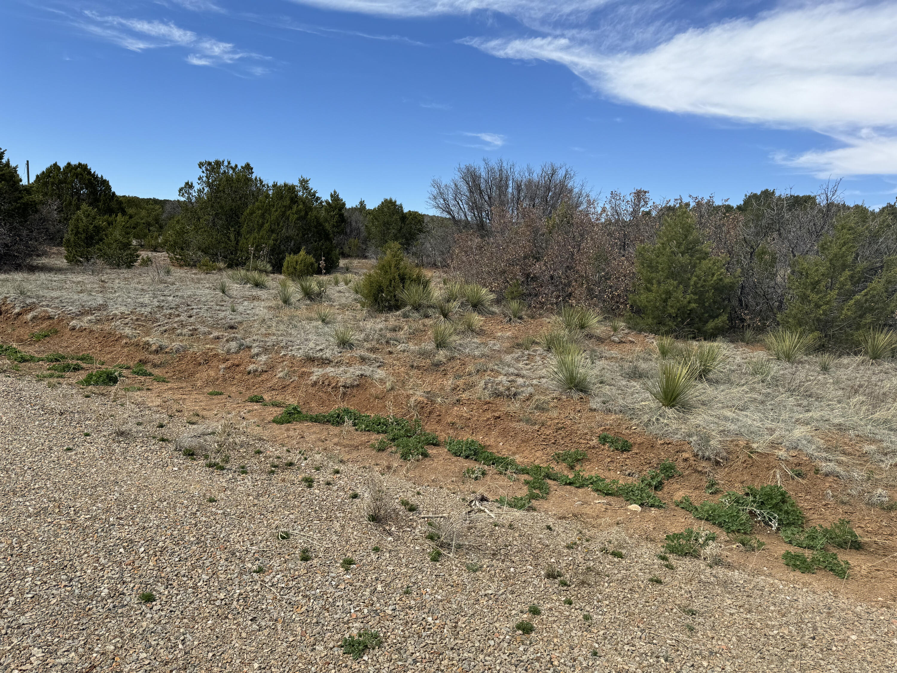66 Jesse James Road, Edgewood, New Mexico image 7