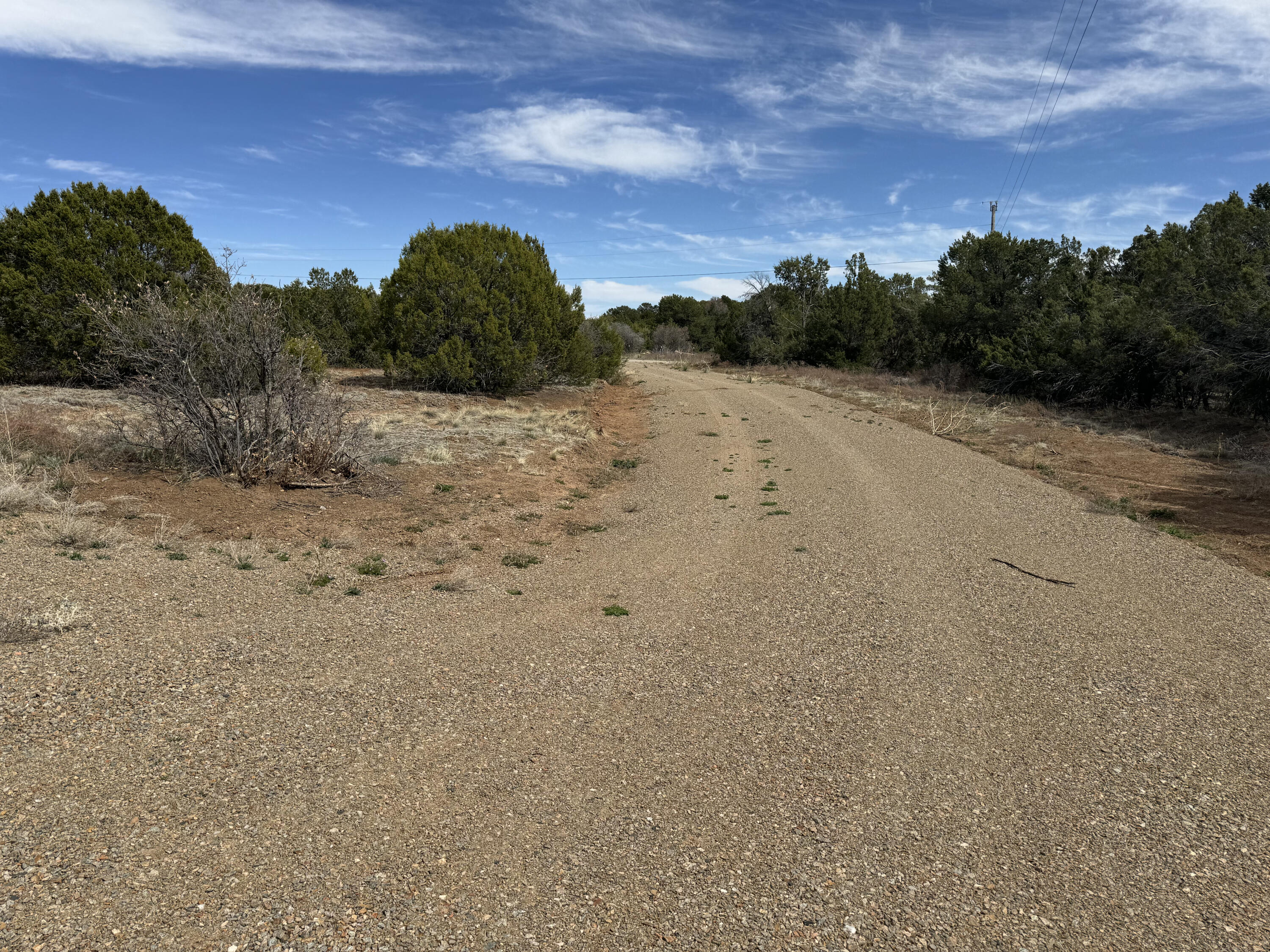 66 Jesse James Road, Edgewood, New Mexico image 6