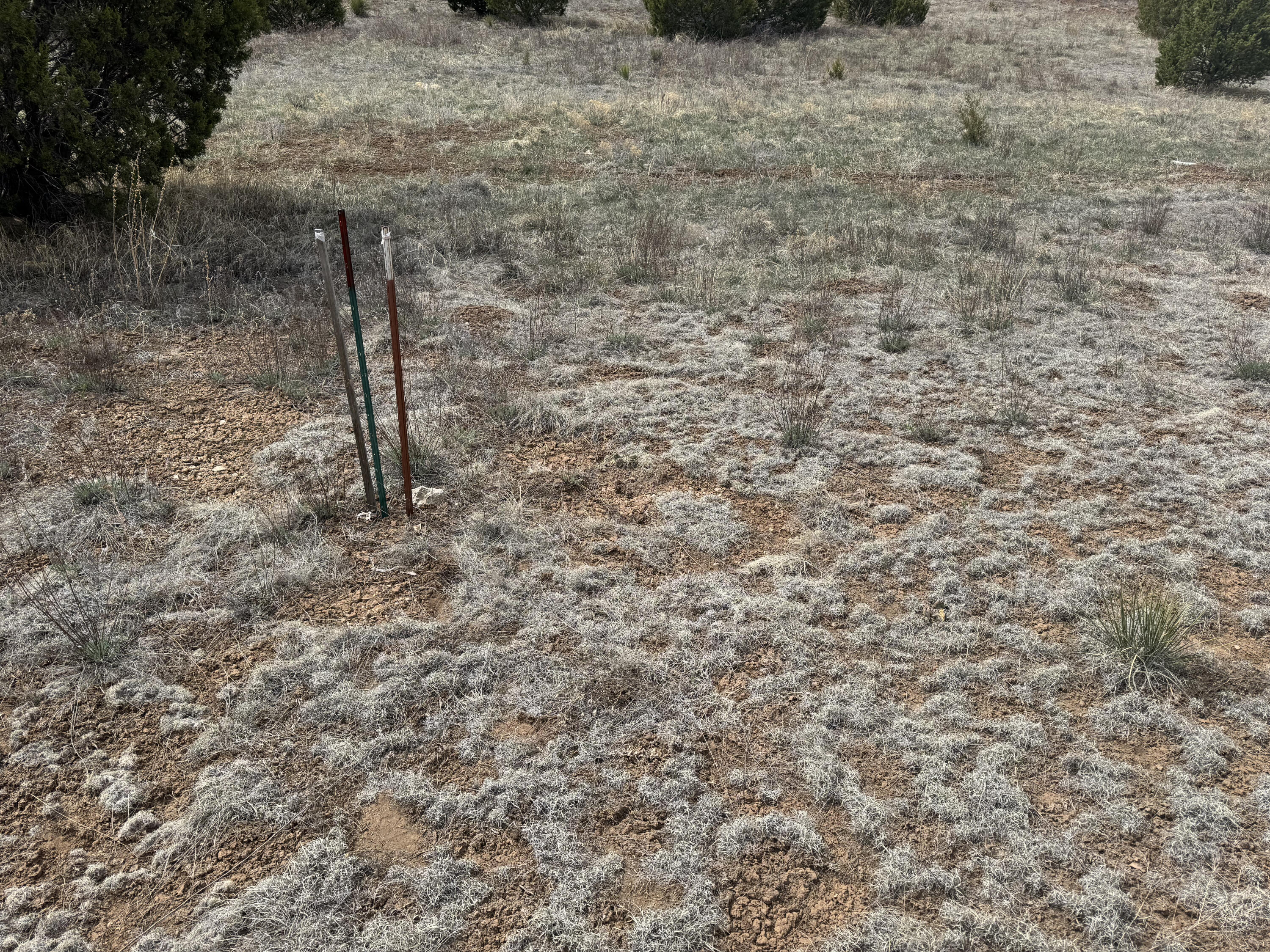 66 Jesse James Road, Edgewood, New Mexico image 20