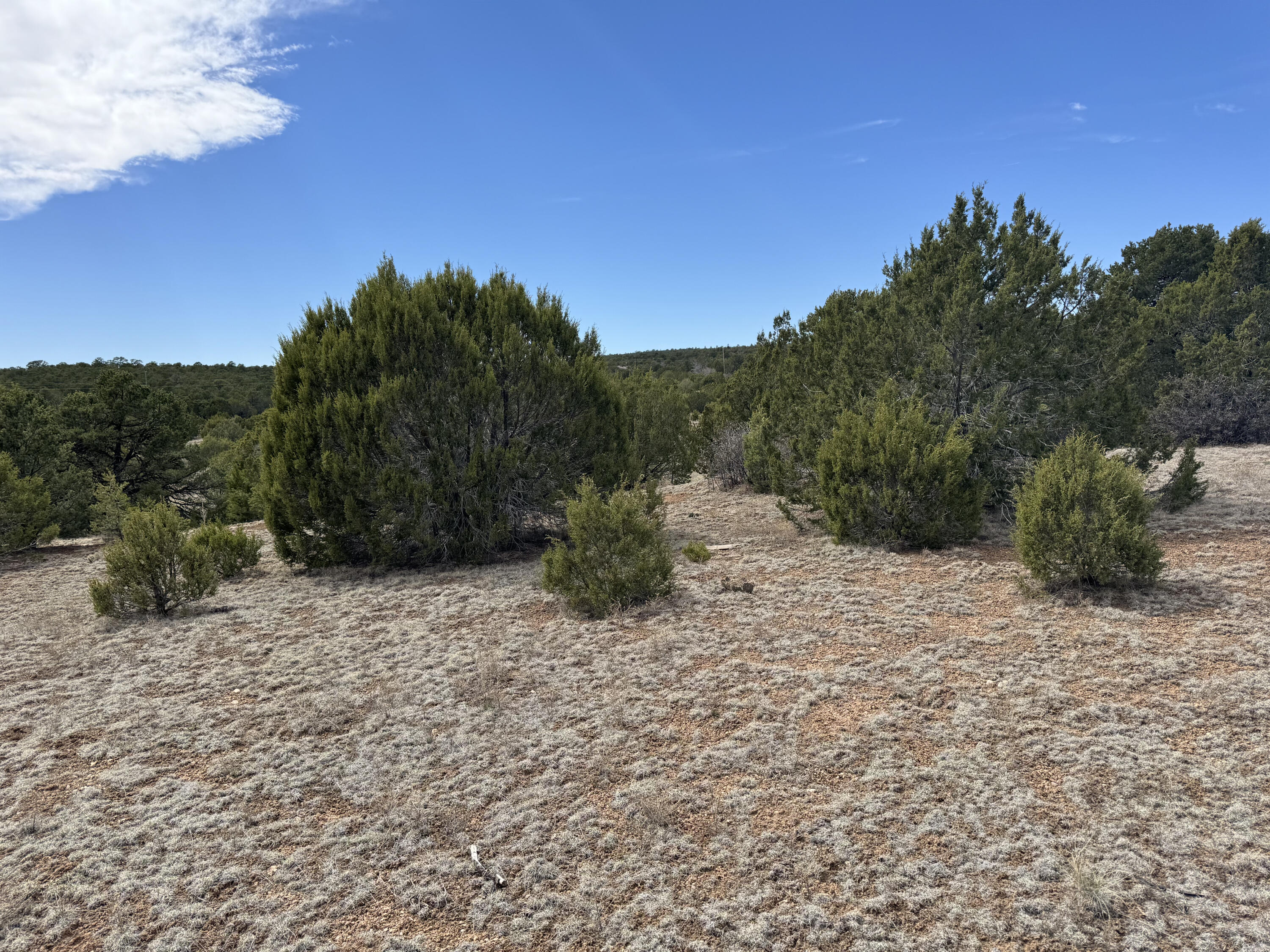 66 Jesse James Road, Edgewood, New Mexico image 4