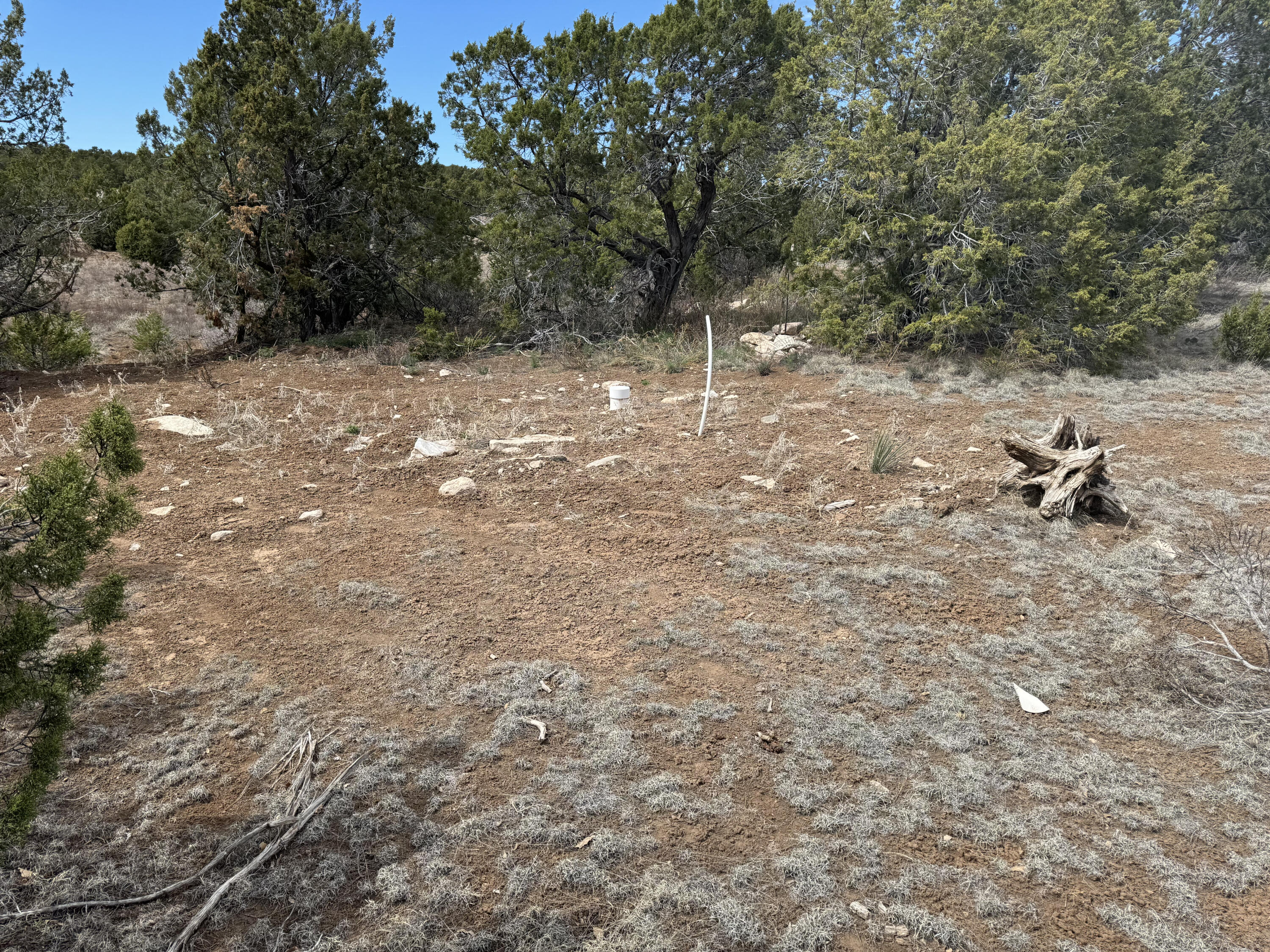 66 Jesse James Road, Edgewood, New Mexico image 8
