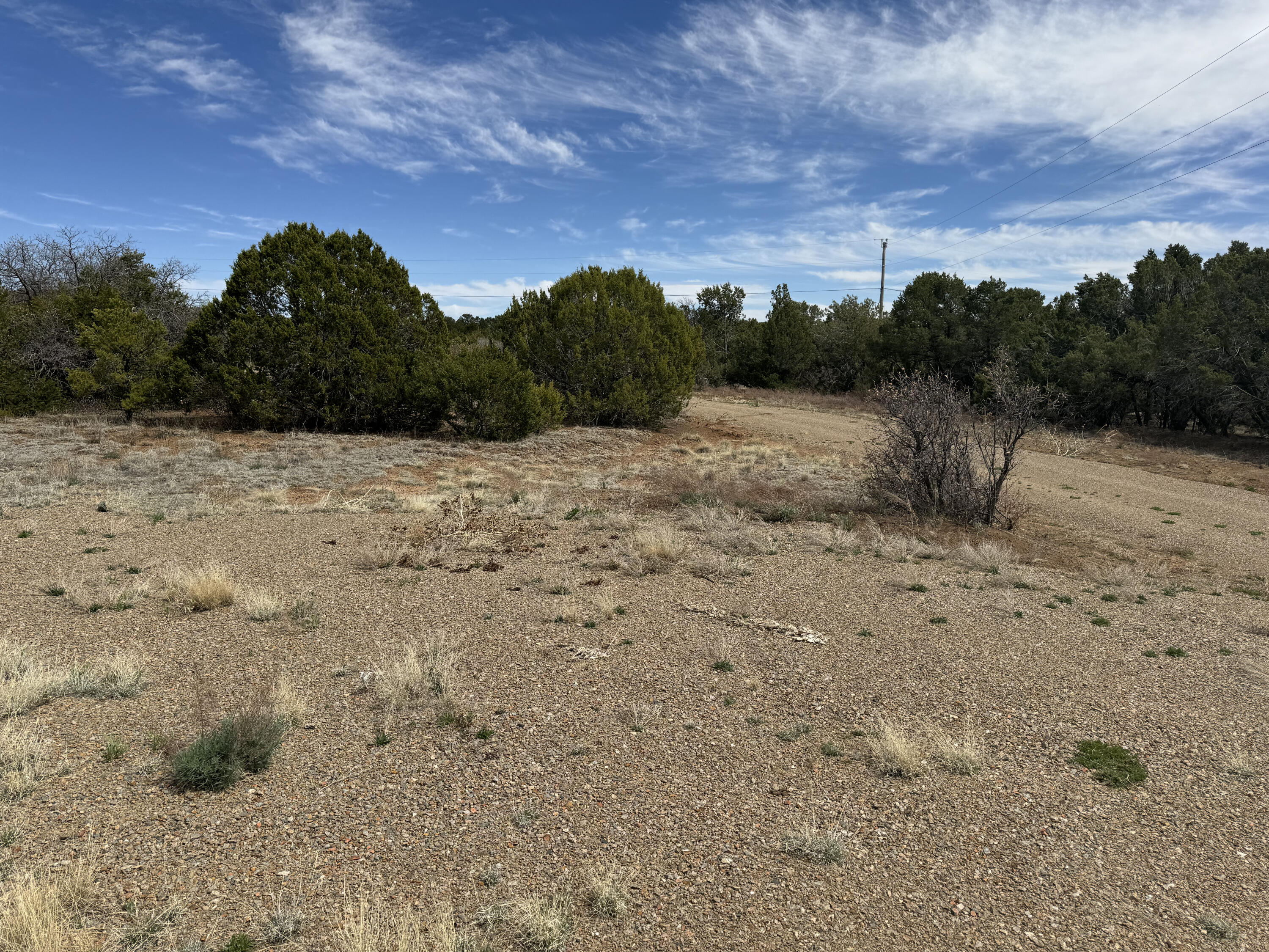 66 Jesse James Road, Edgewood, New Mexico image 12