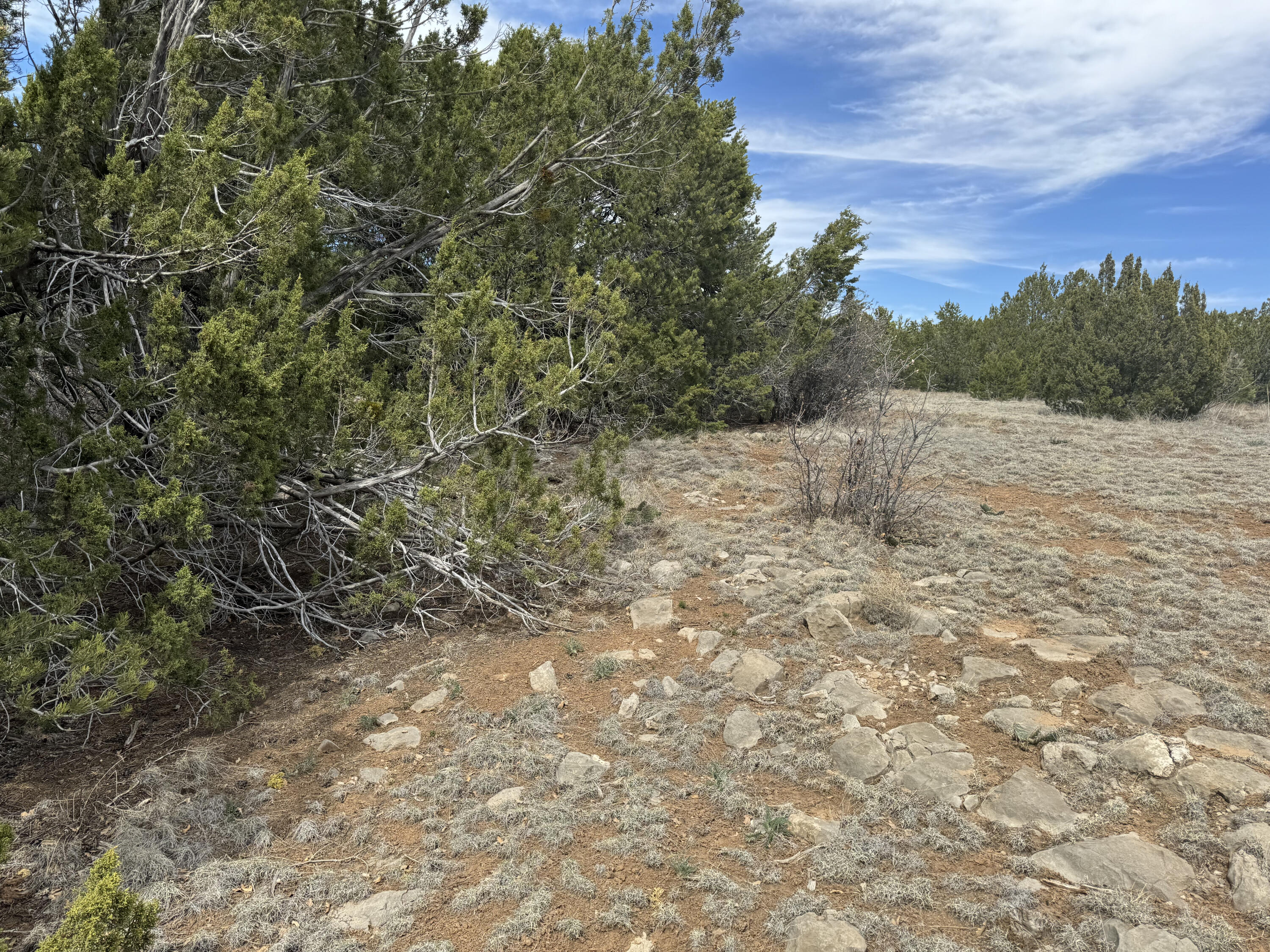 66 Jesse James Road, Edgewood, New Mexico image 17