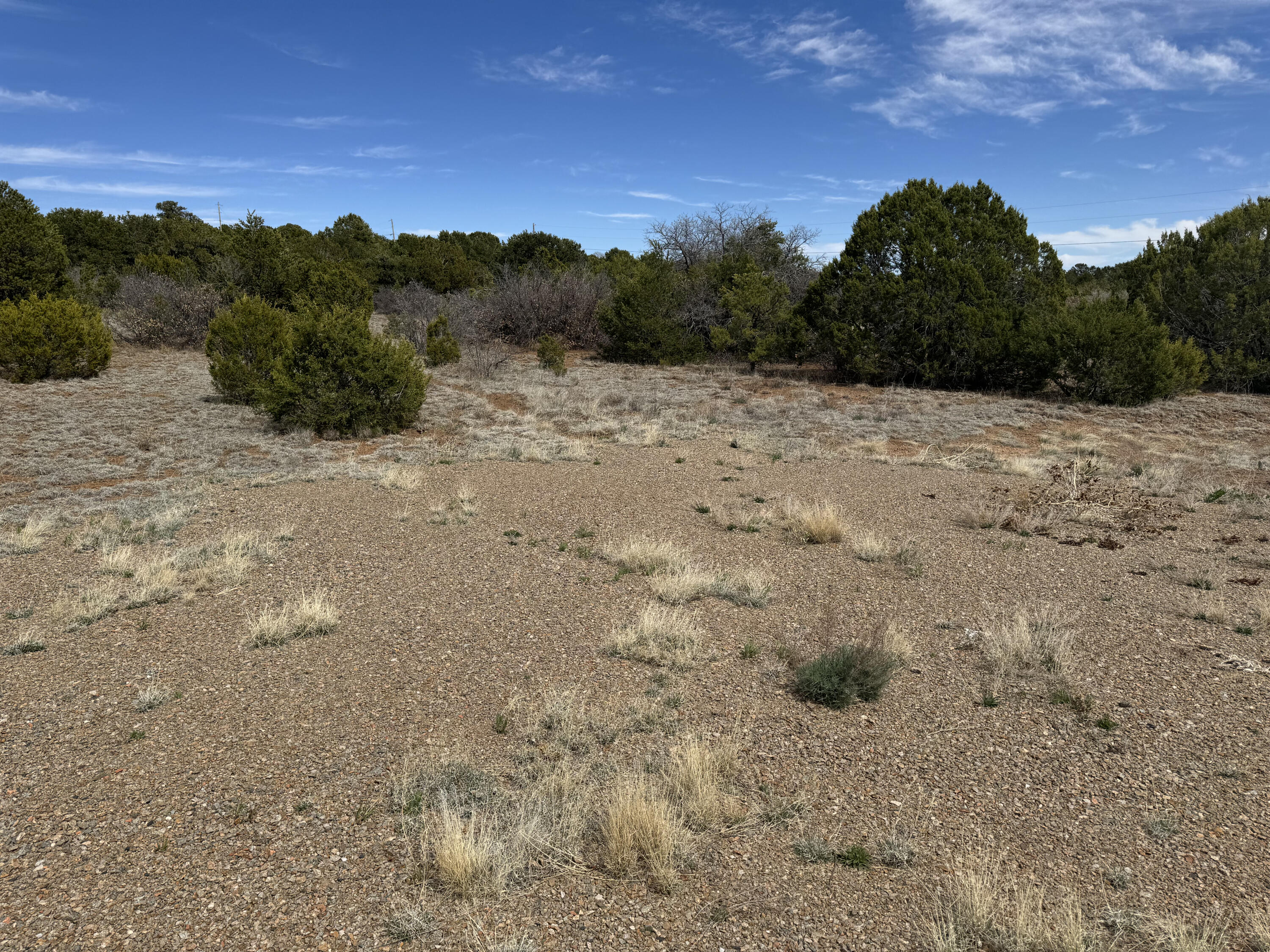 66 Jesse James Road, Edgewood, New Mexico image 13