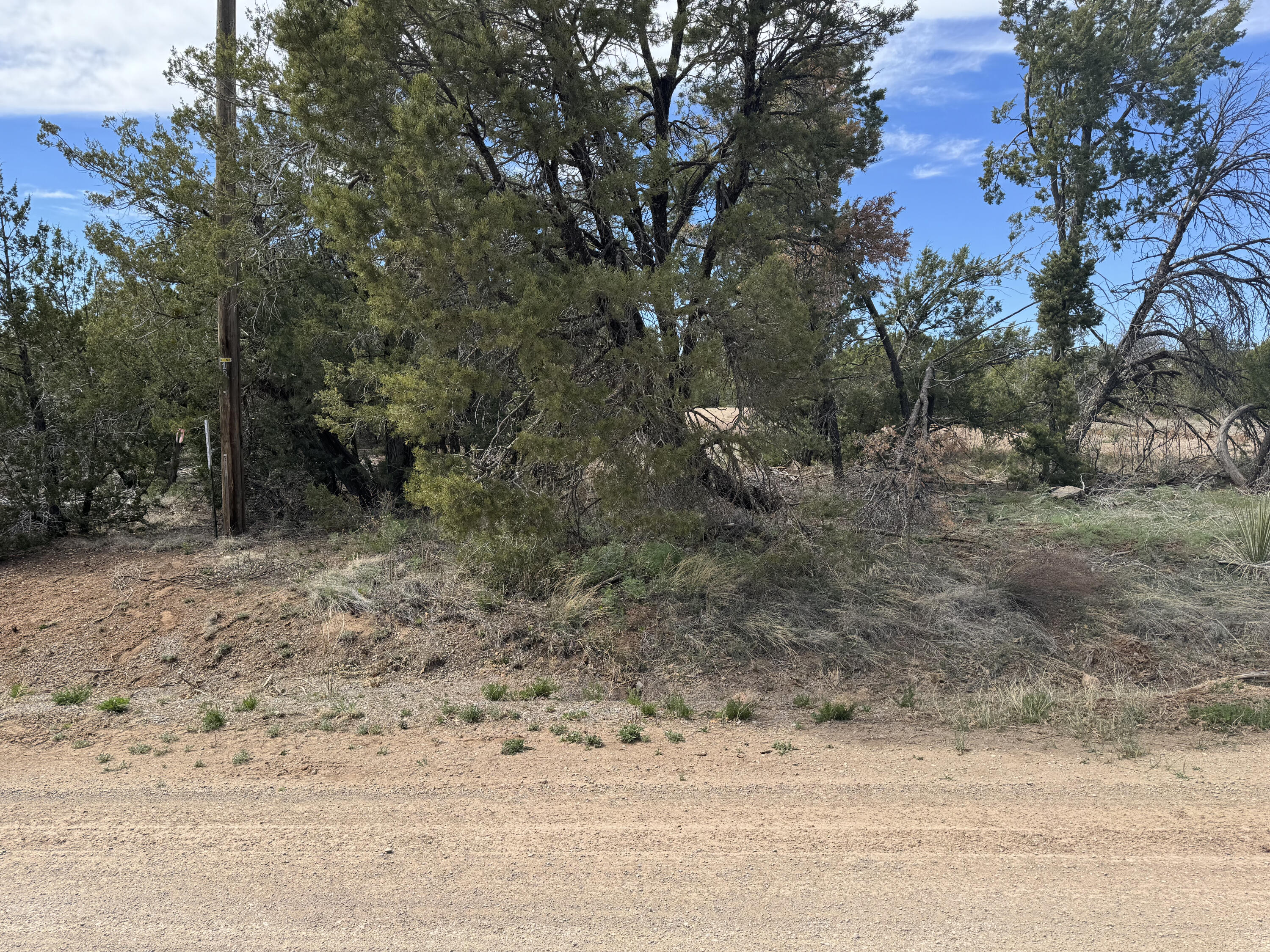 66 Jesse James Road, Edgewood, New Mexico image 9