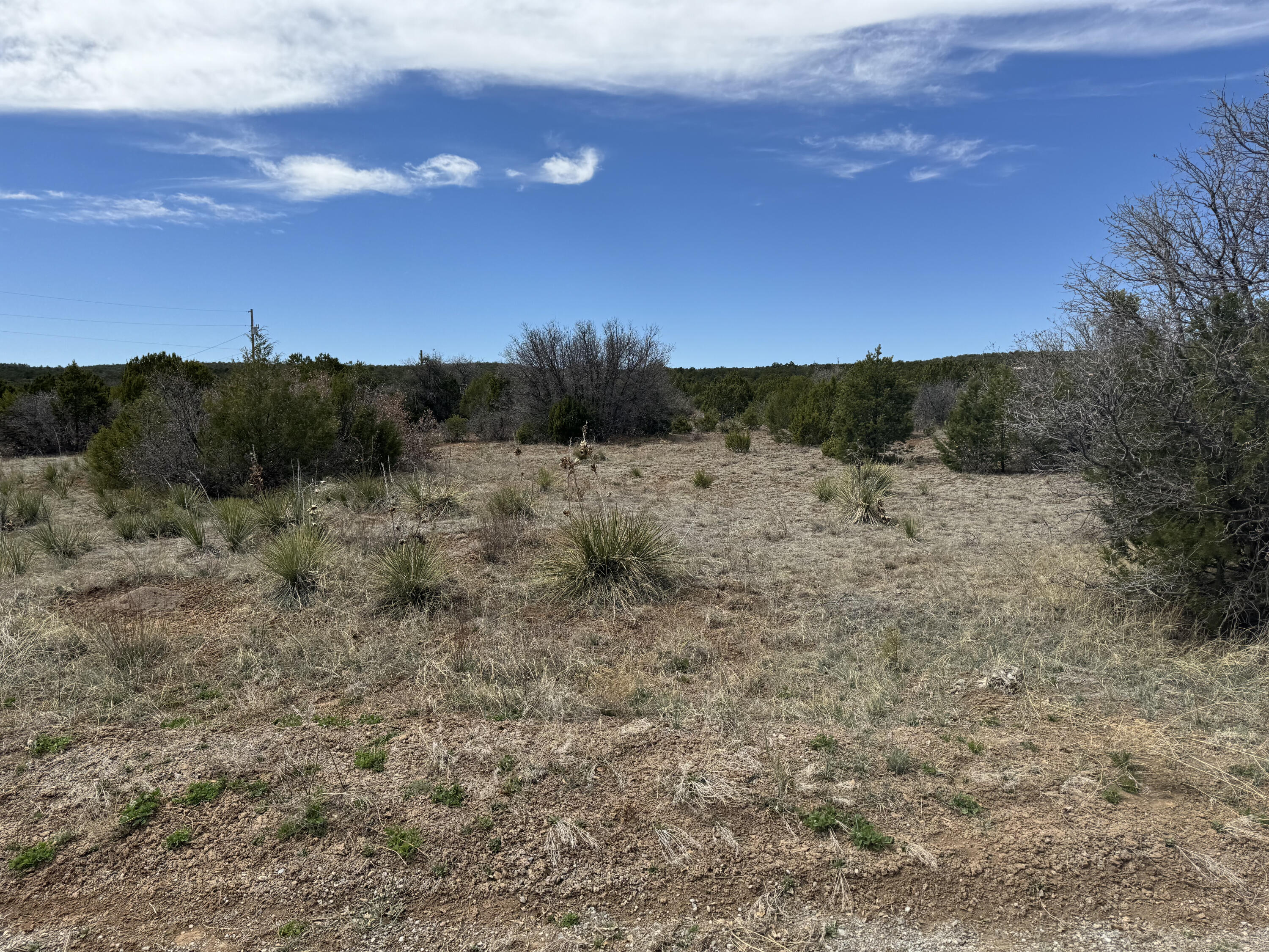 66 Jesse James Road, Edgewood, New Mexico image 11