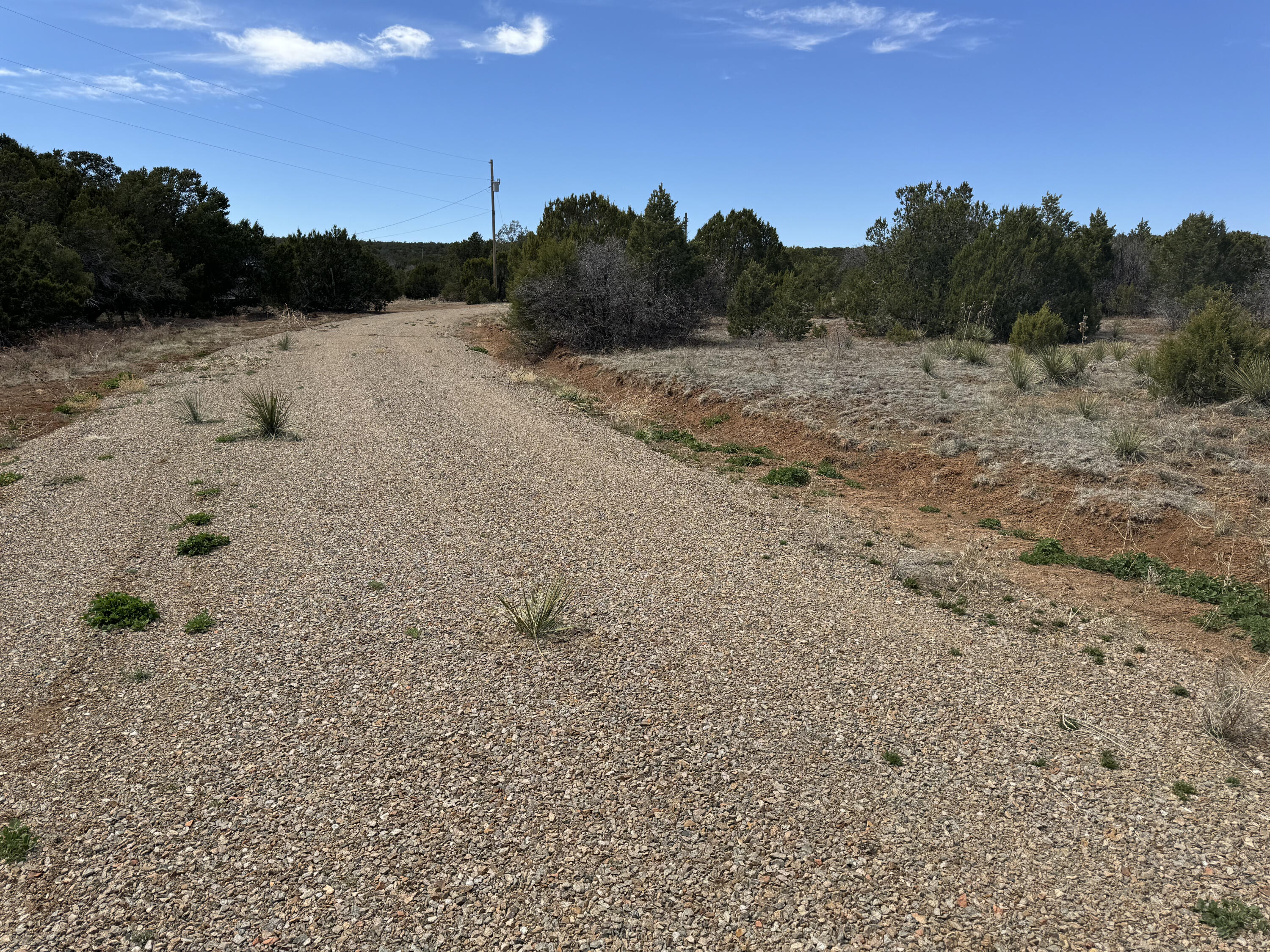 66 Jesse James Road, Edgewood, New Mexico image 5