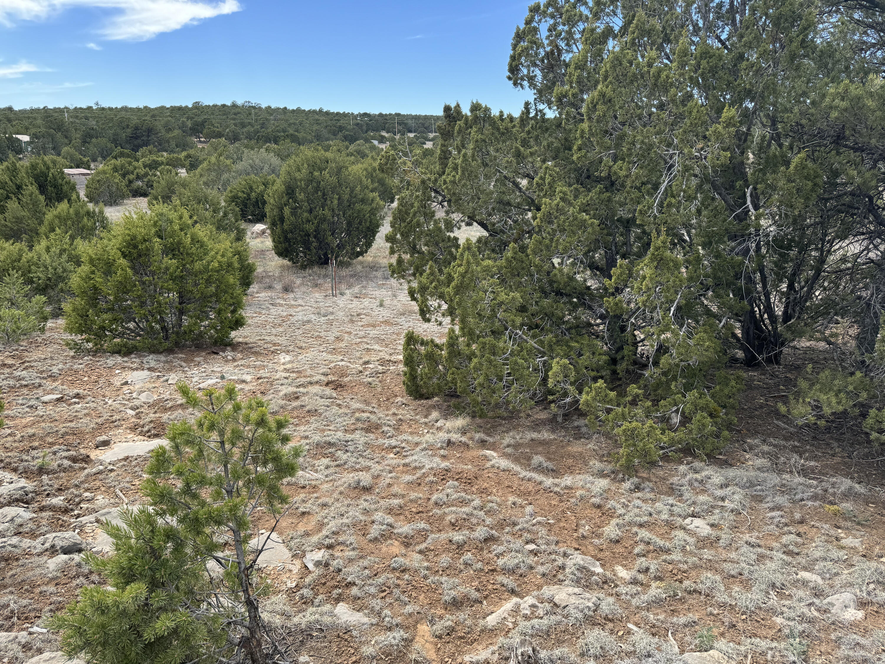 66 Jesse James Road, Edgewood, New Mexico image 22