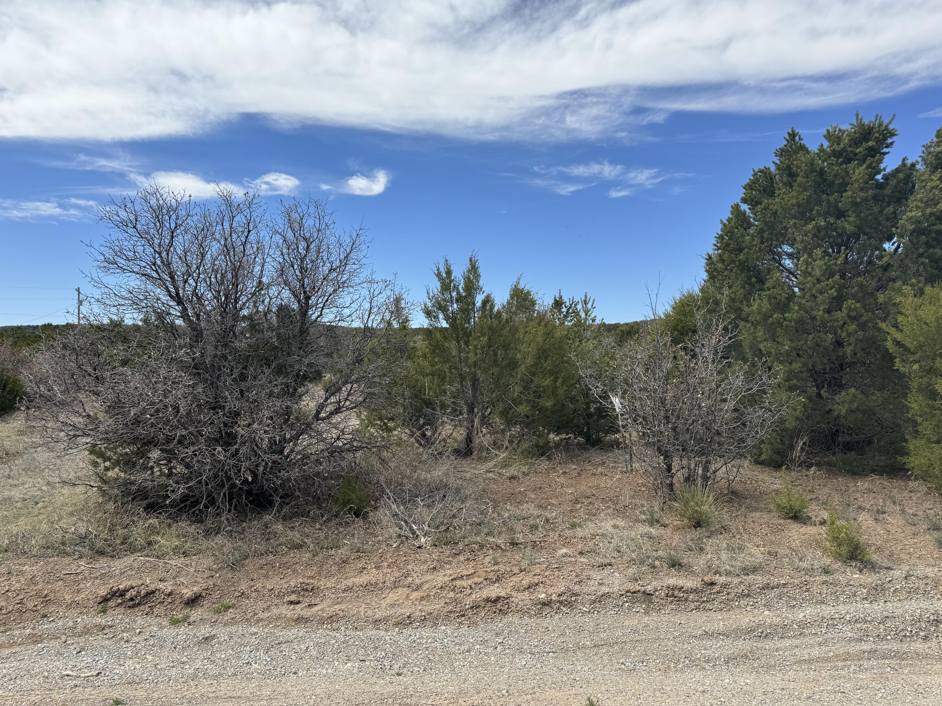 66 Jesse James Road, Edgewood, New Mexico image 10