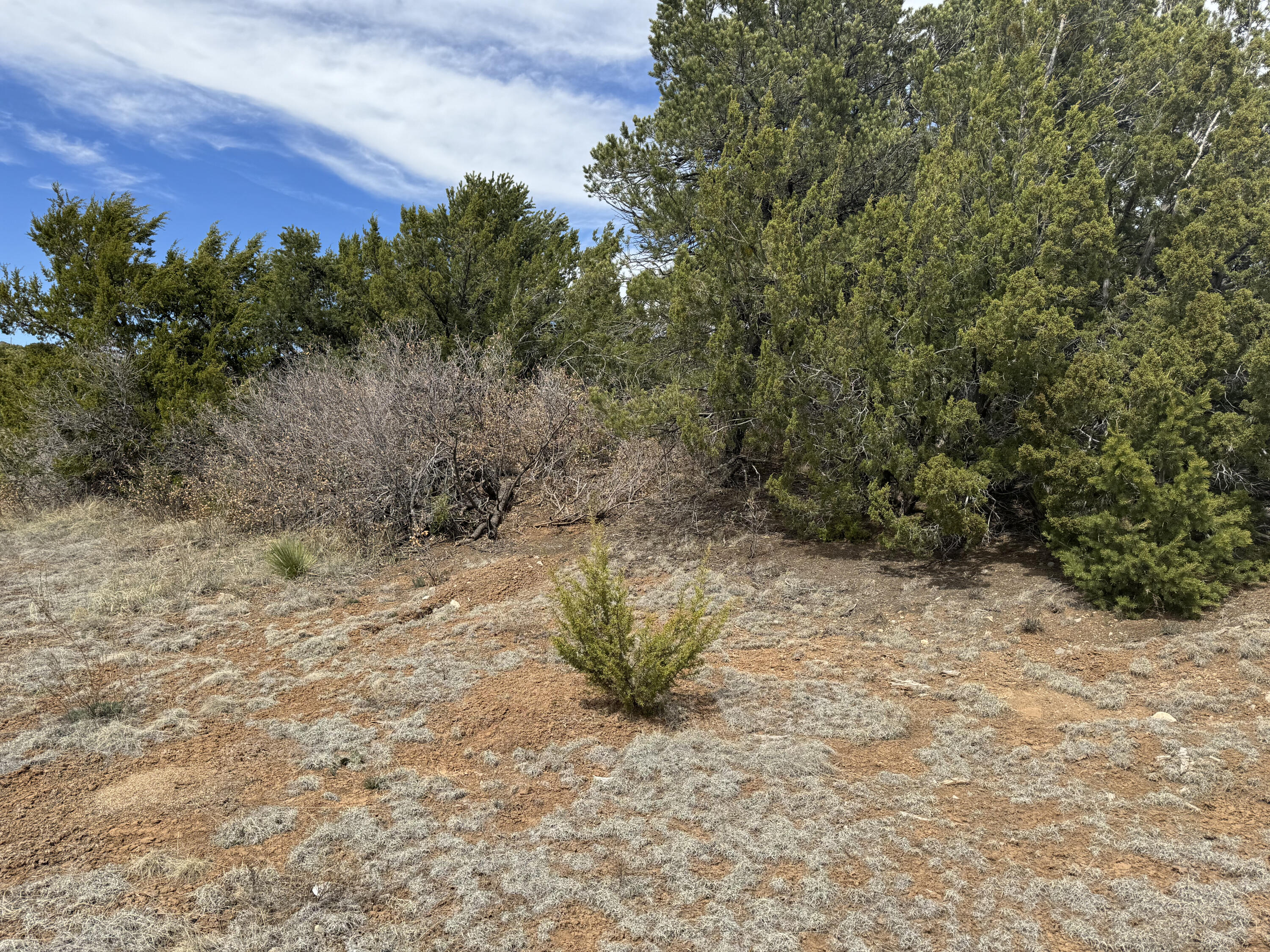 66 Jesse James Road, Edgewood, New Mexico image 16