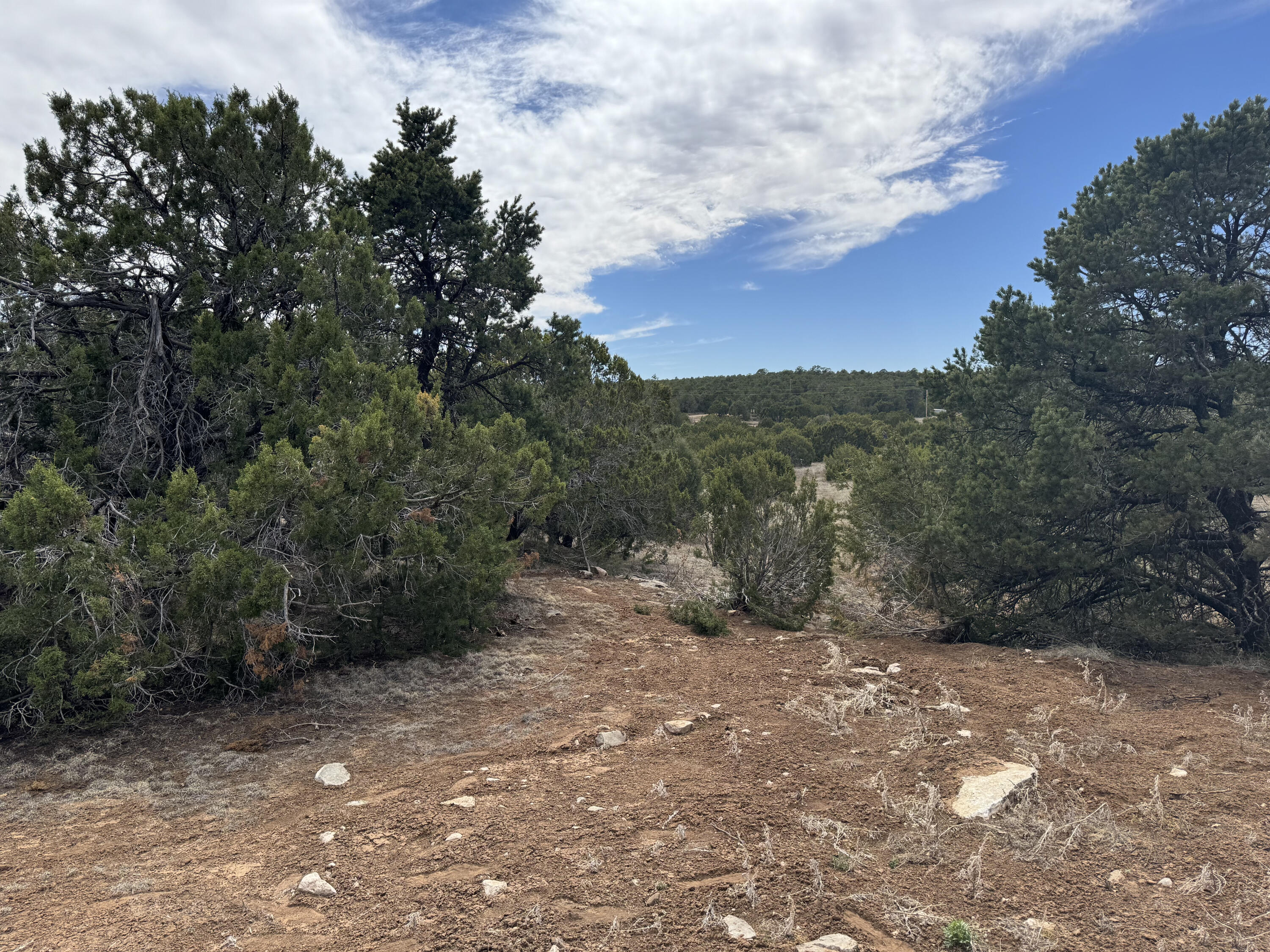 66 Jesse James Road, Edgewood, New Mexico image 24