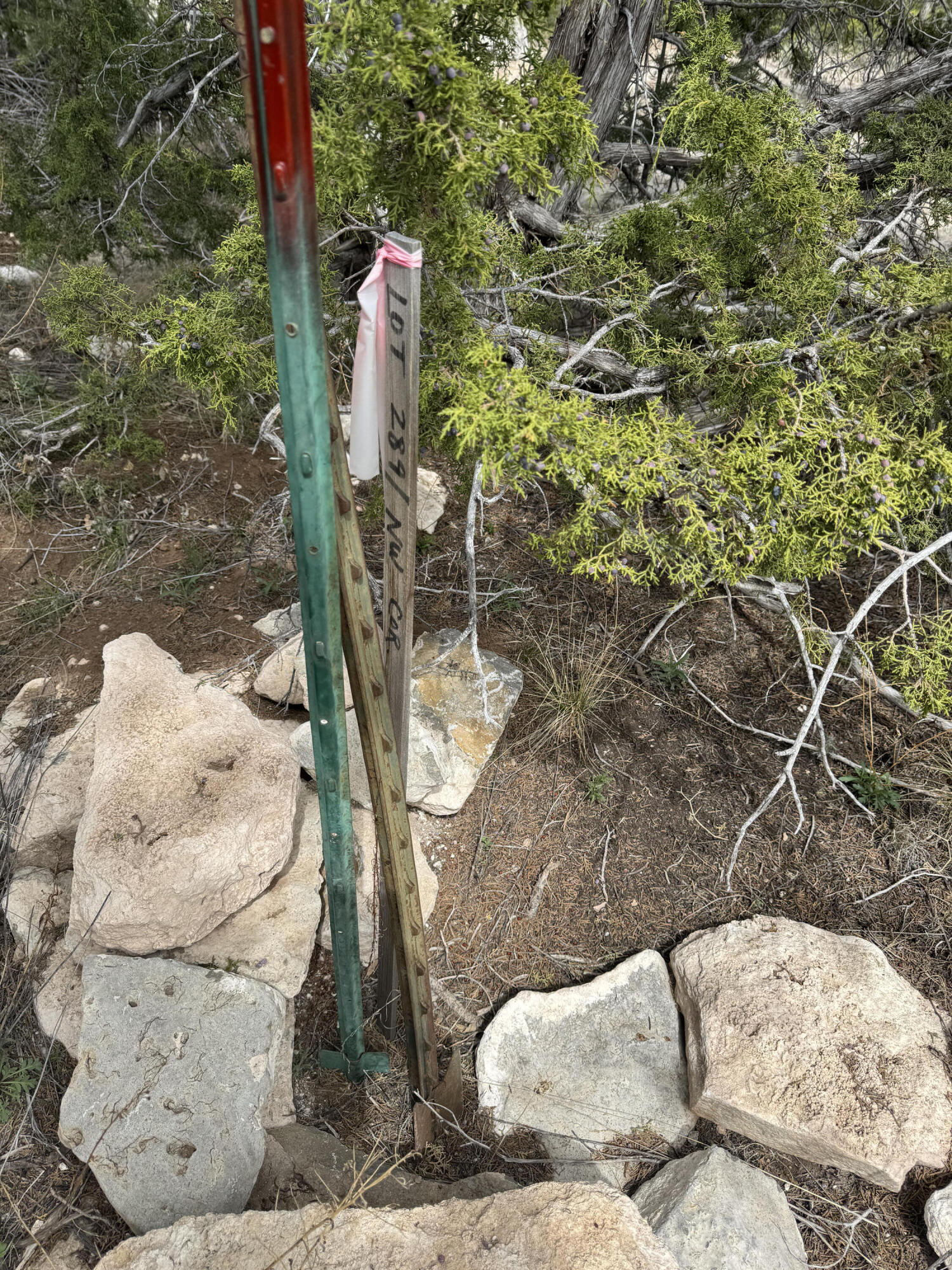 66 Jesse James Road, Edgewood, New Mexico image 18