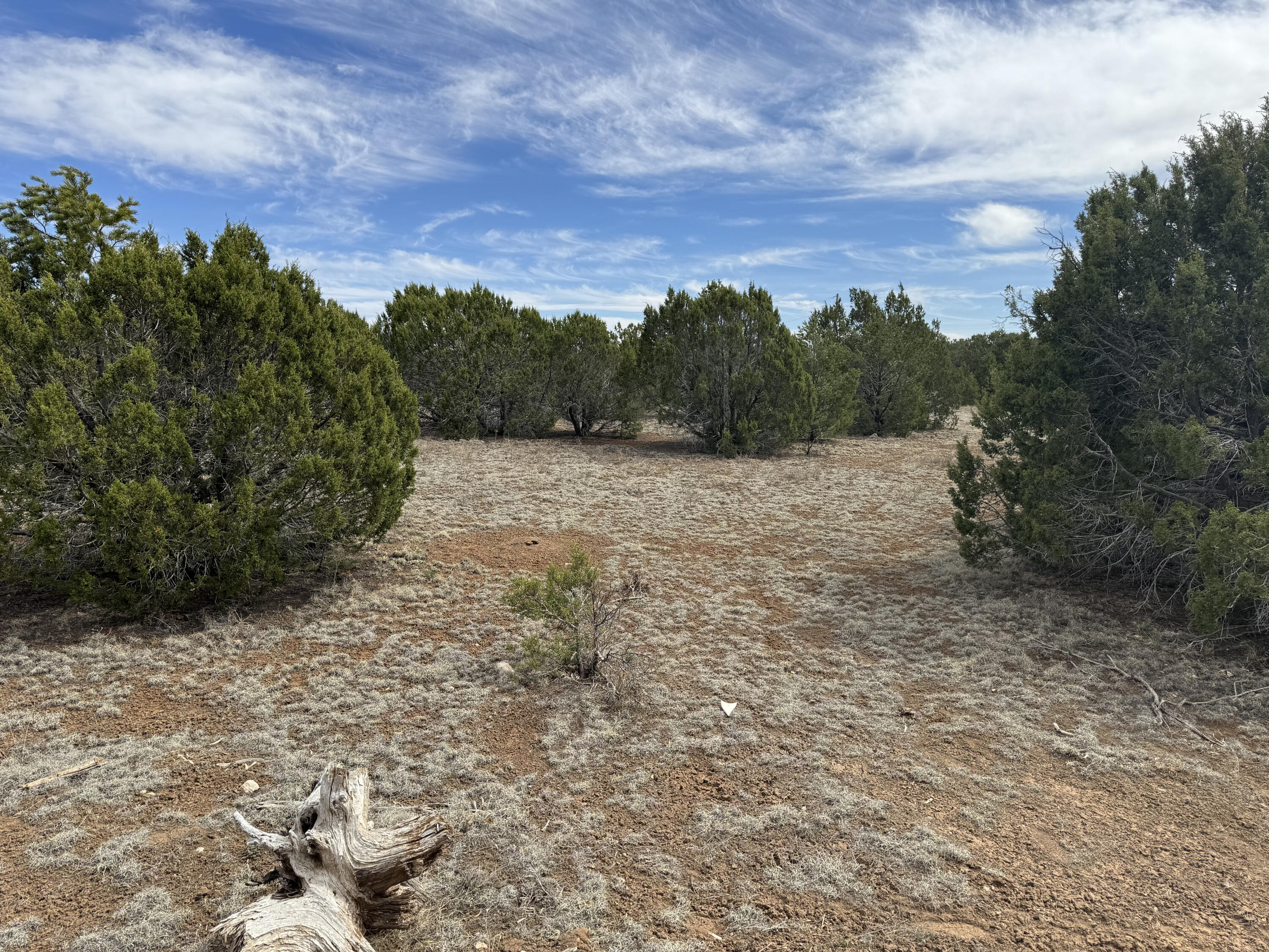 66 Jesse James Road, Edgewood, New Mexico image 23