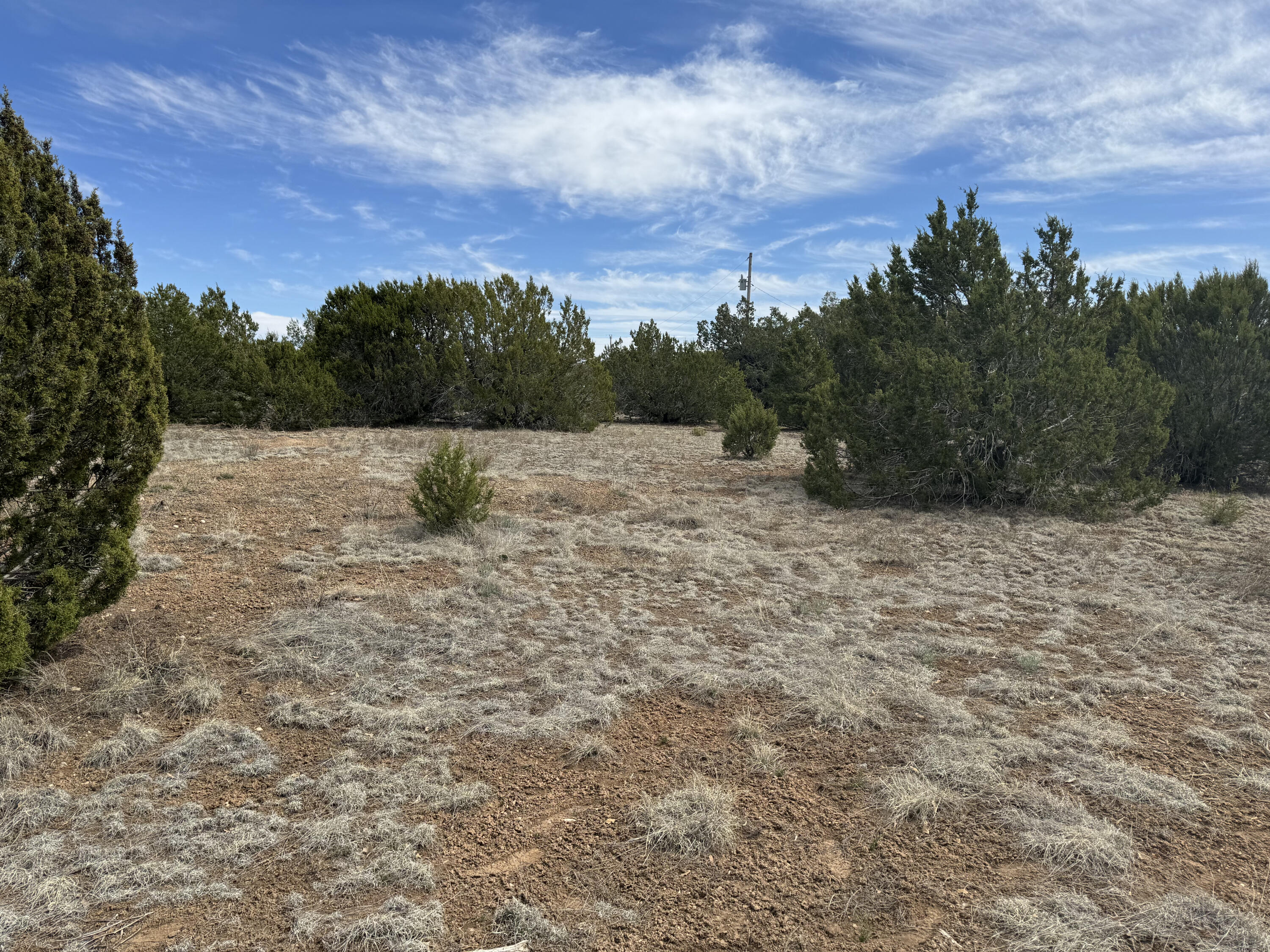 66 Jesse James Road, Edgewood, New Mexico image 21