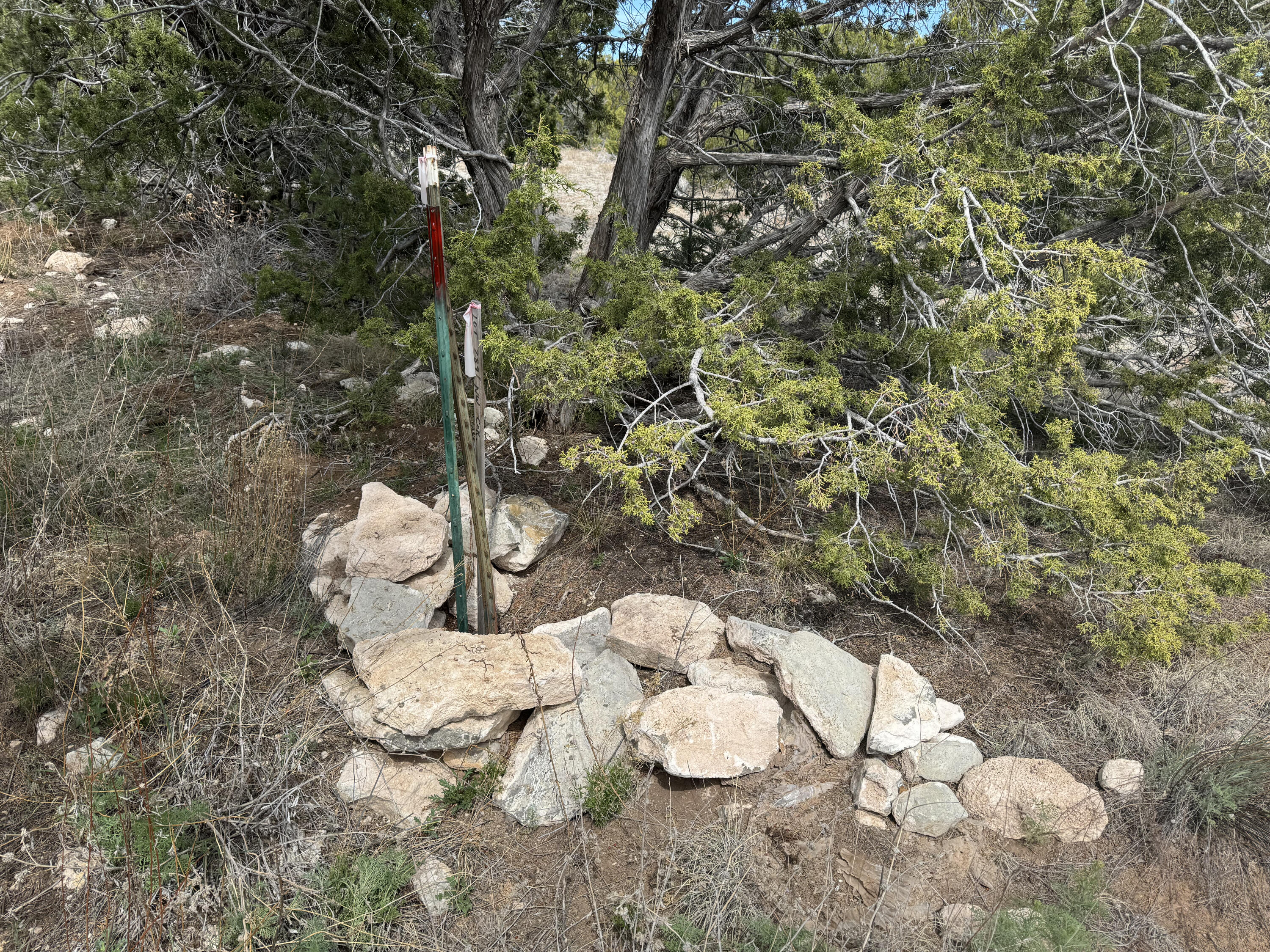 66 Jesse James Road, Edgewood, New Mexico image 19
