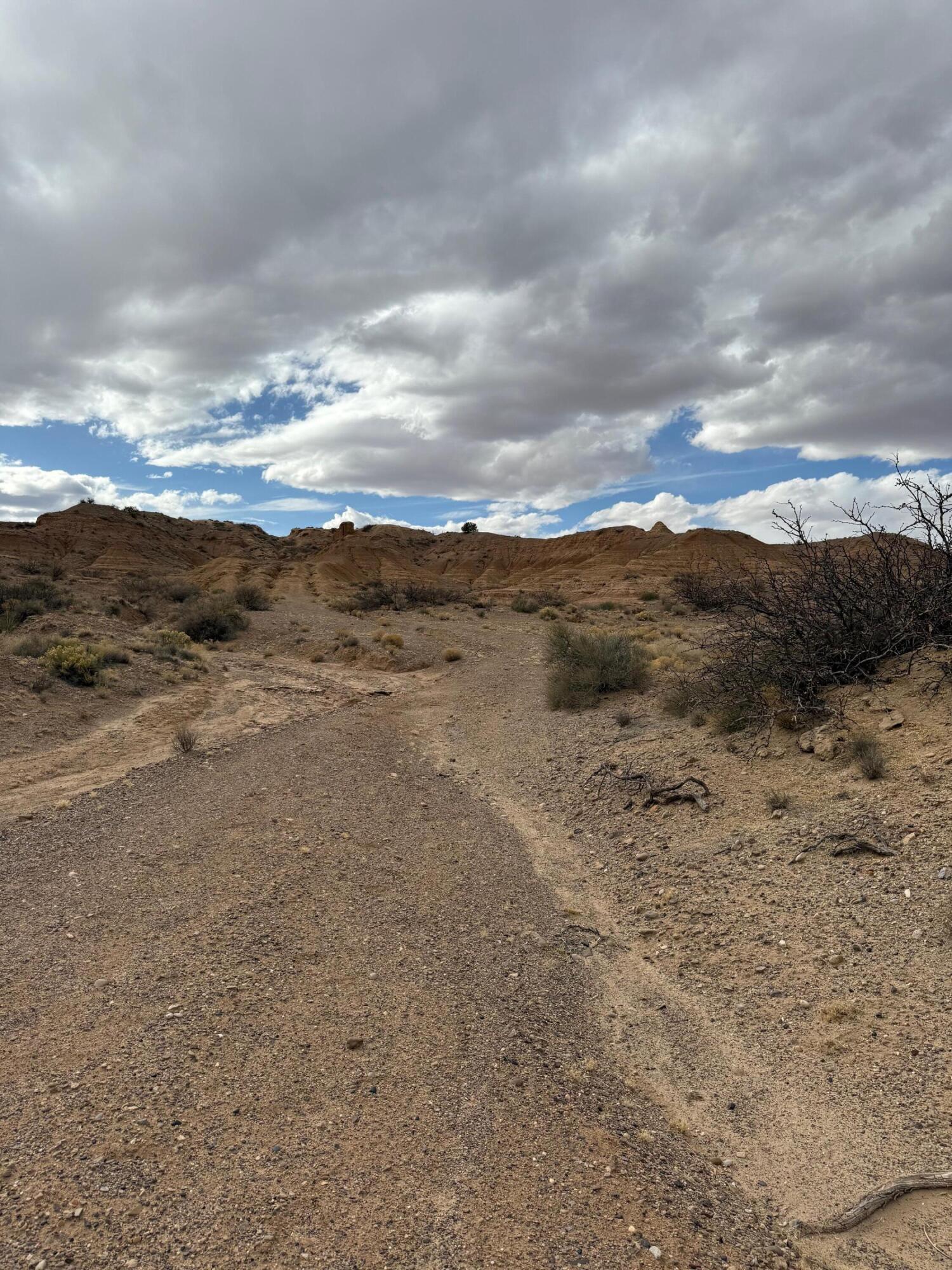 Erica Lane, Belen, New Mexico image 4