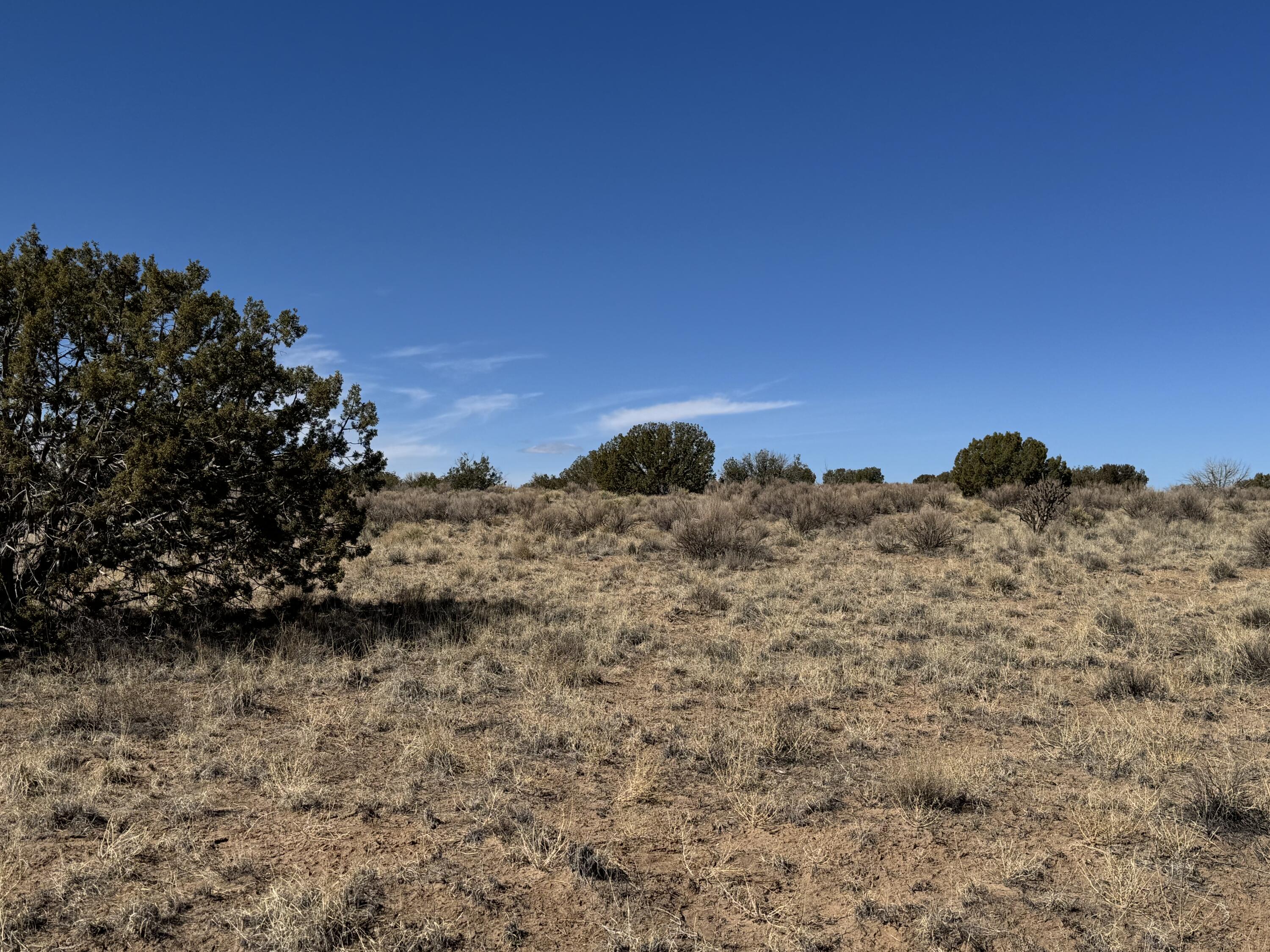 Deneb Court, Rio Rancho, New Mexico image 1