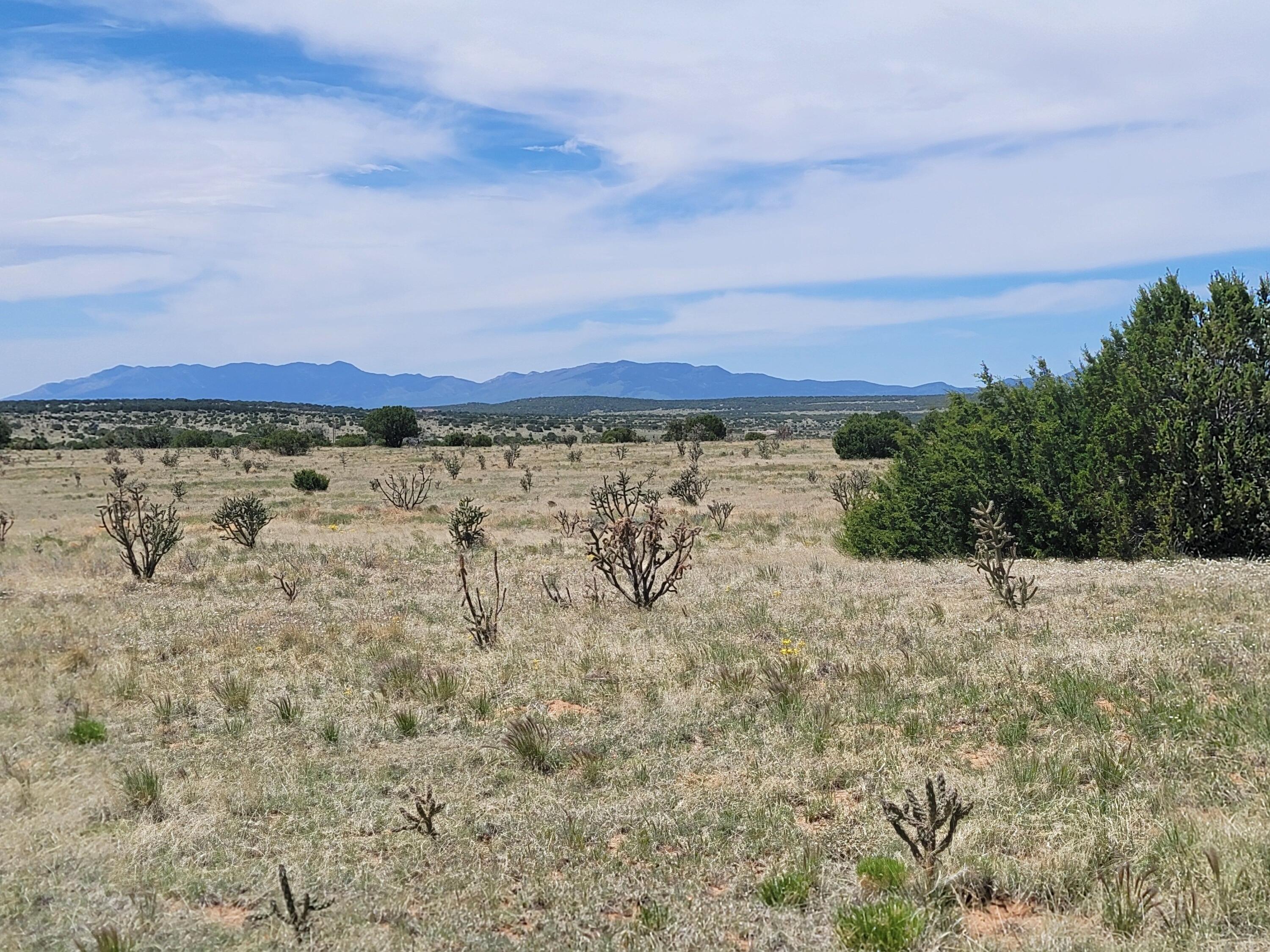 61 Brazos Loop, Estancia, New Mexico image 1