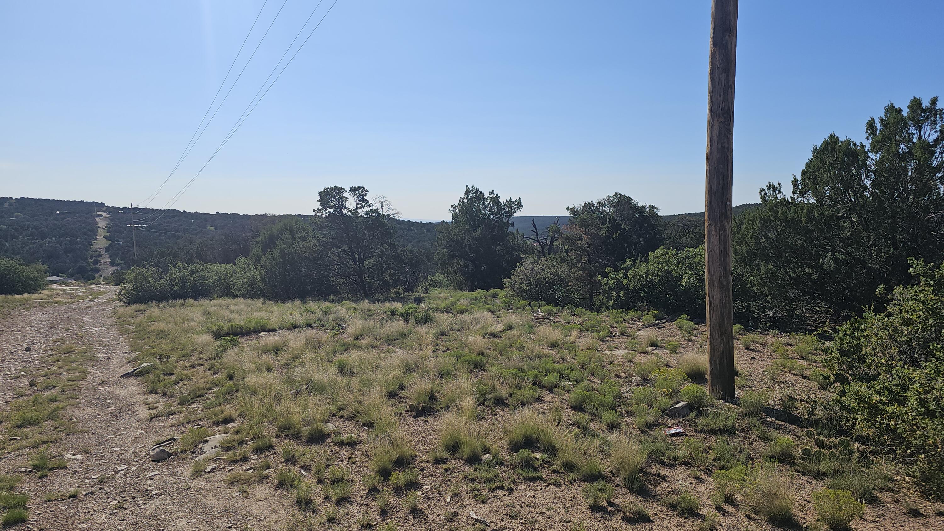 Cross Road, Edgewood, New Mexico image 7