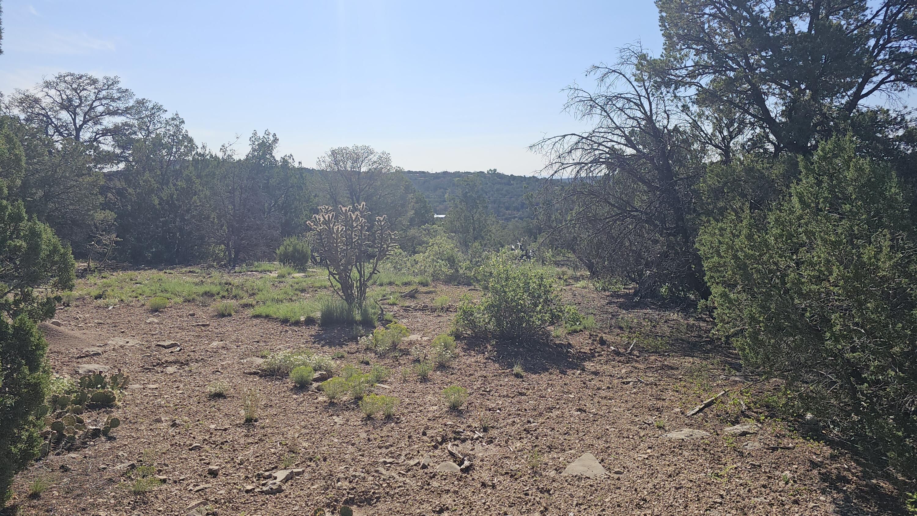 Cross Road, Edgewood, New Mexico image 5