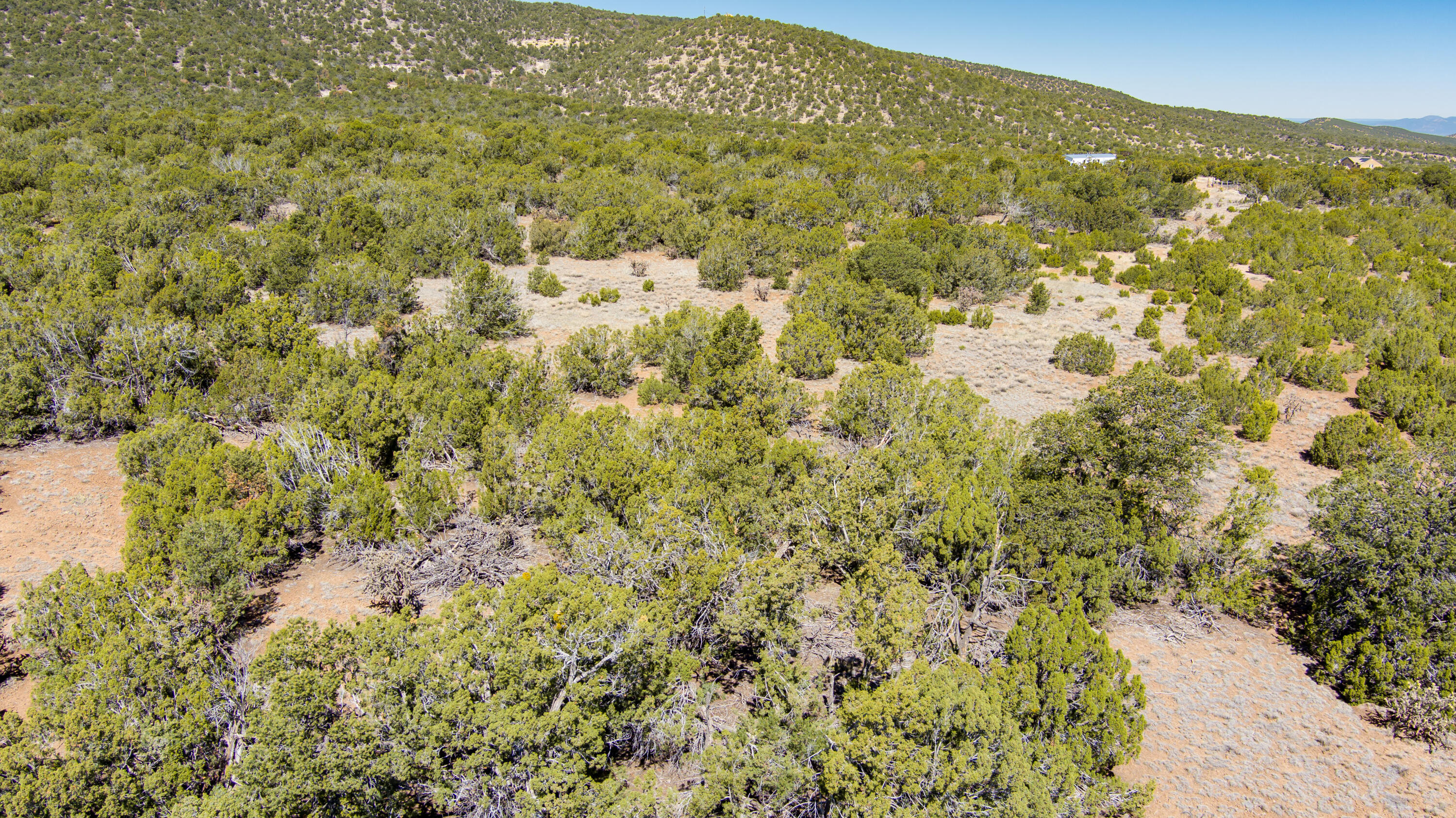 U1tr10 Stagecoach Road, Sandia Park, New Mexico image 12