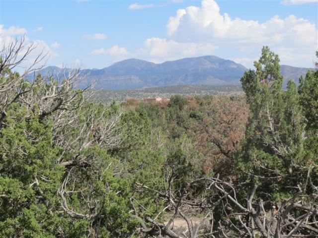 U1tr10 Stagecoach Road, Sandia Park, New Mexico image 1