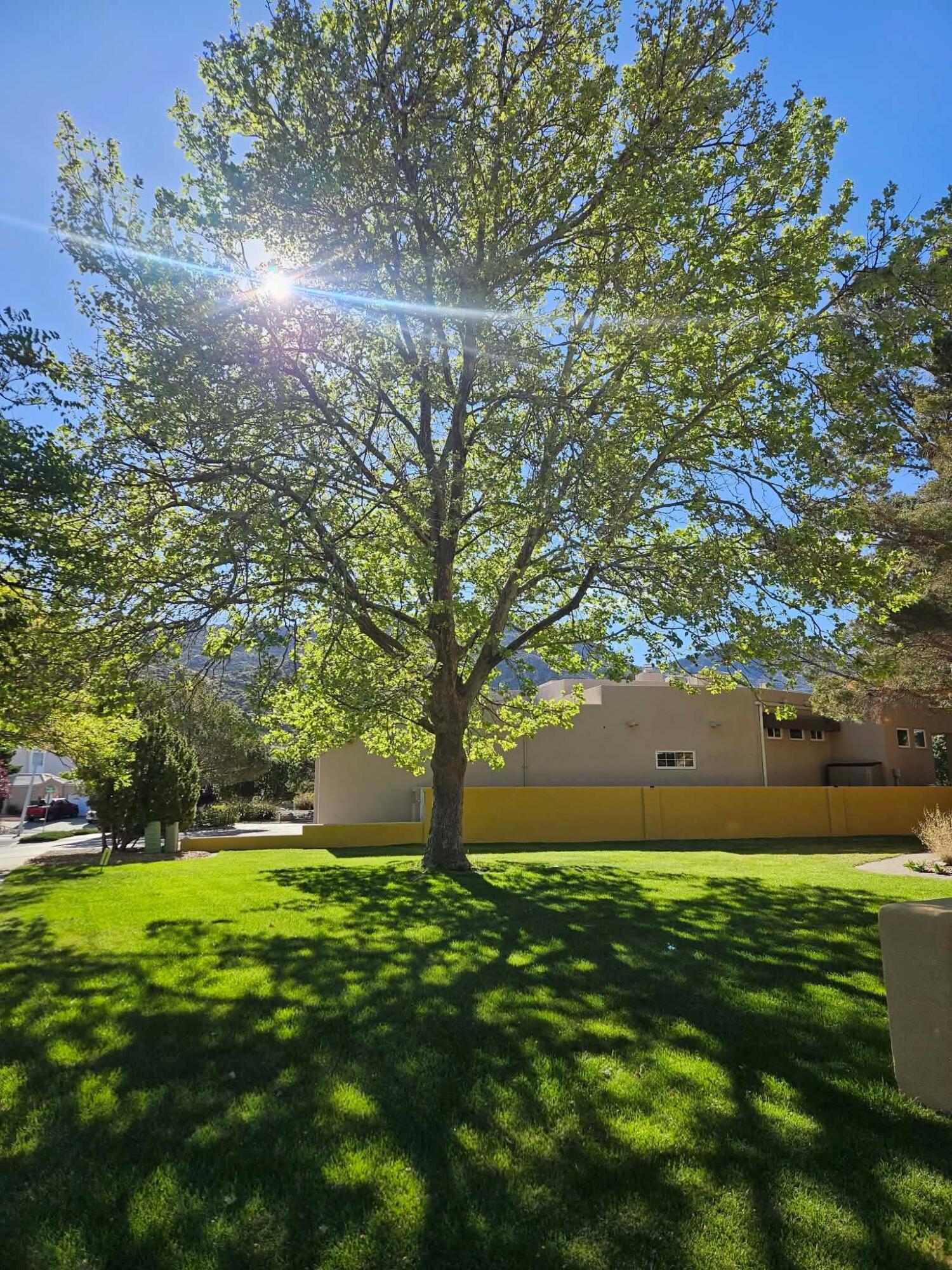 13704 Crested Butte Drive NE
