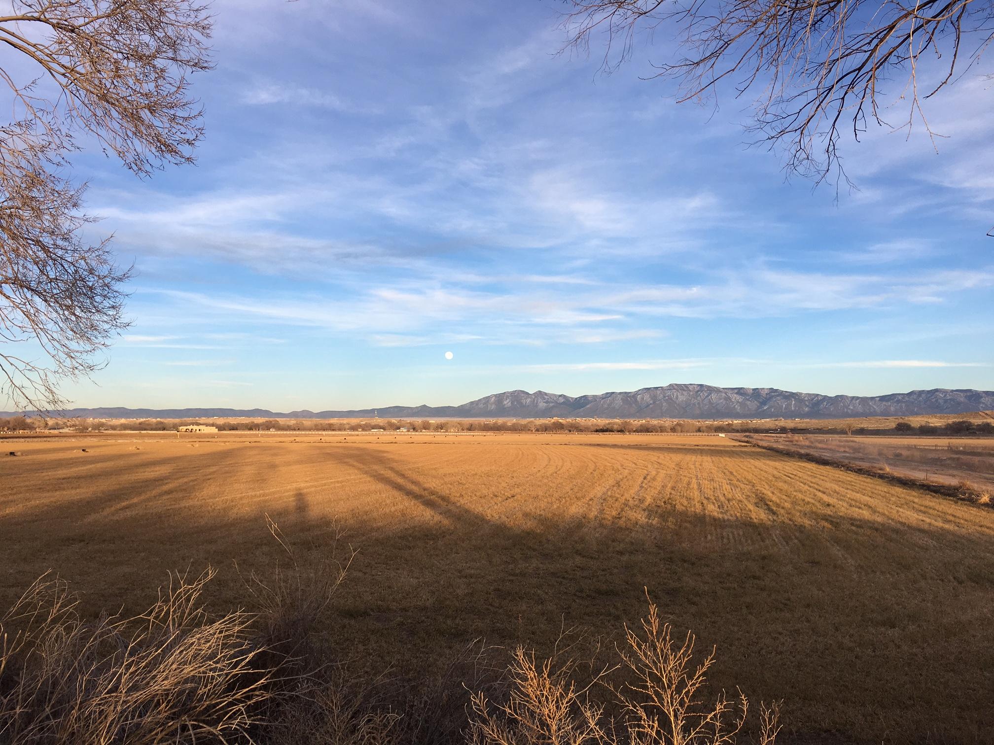 7 Lucky Charm Court, Los Lunas, New Mexico image 6