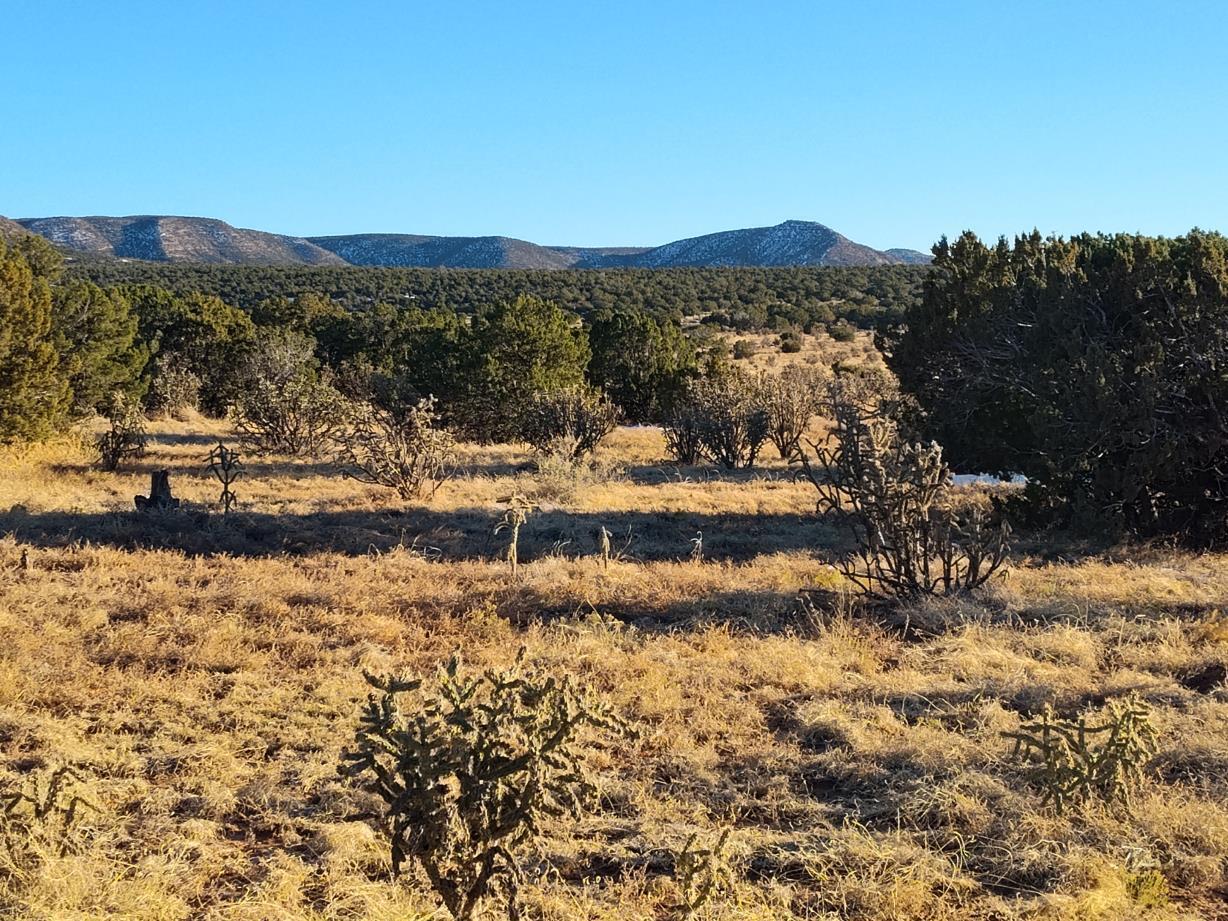 Ravine Lane, Mountainair, New Mexico image 1