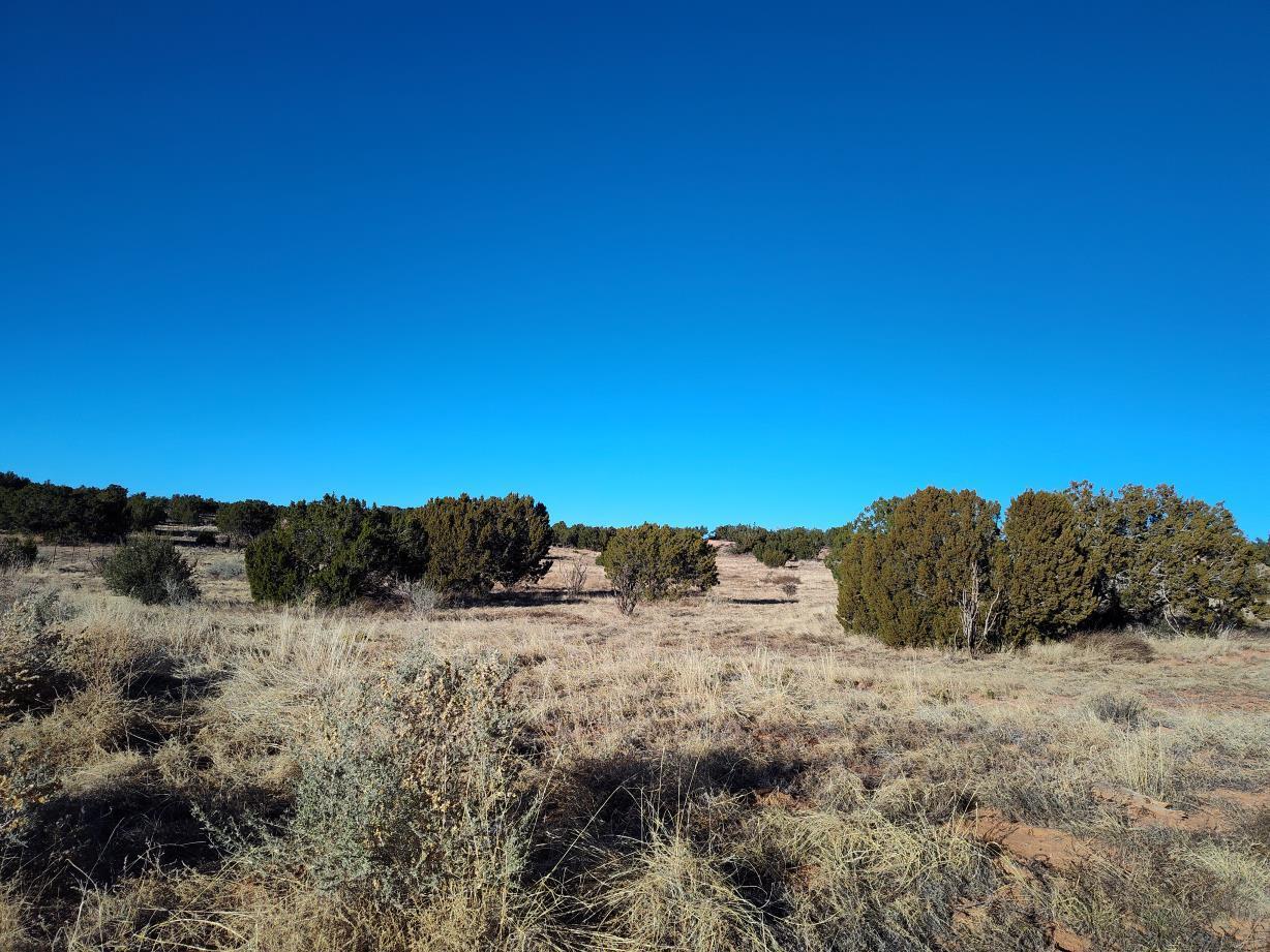 Ravine Lane, Mountainair, New Mexico image 5