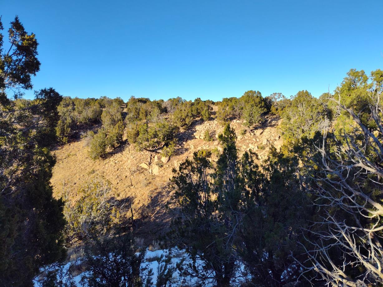 Ravine Lane, Mountainair, New Mexico image 15