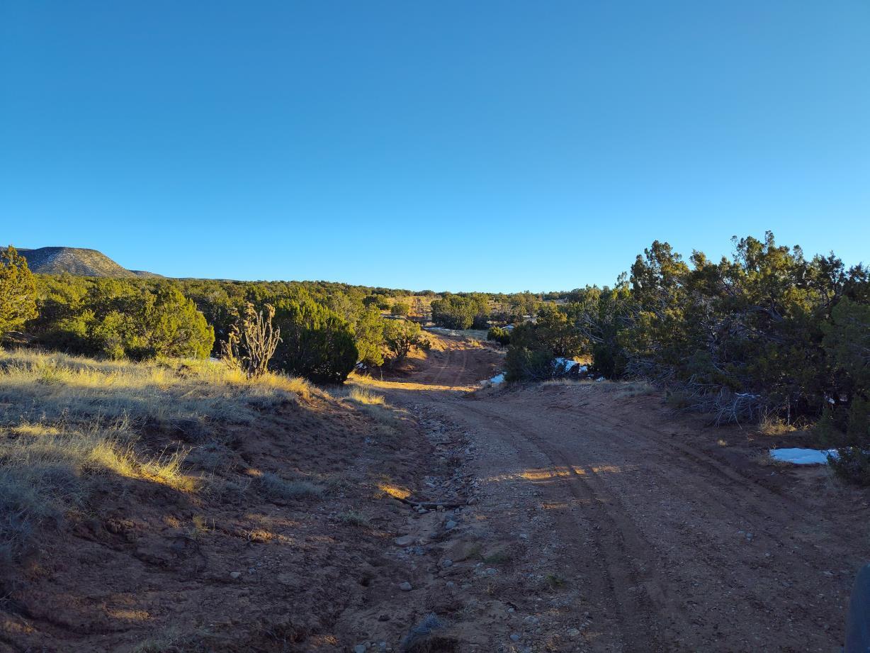 Ravine Lane, Mountainair, New Mexico image 22