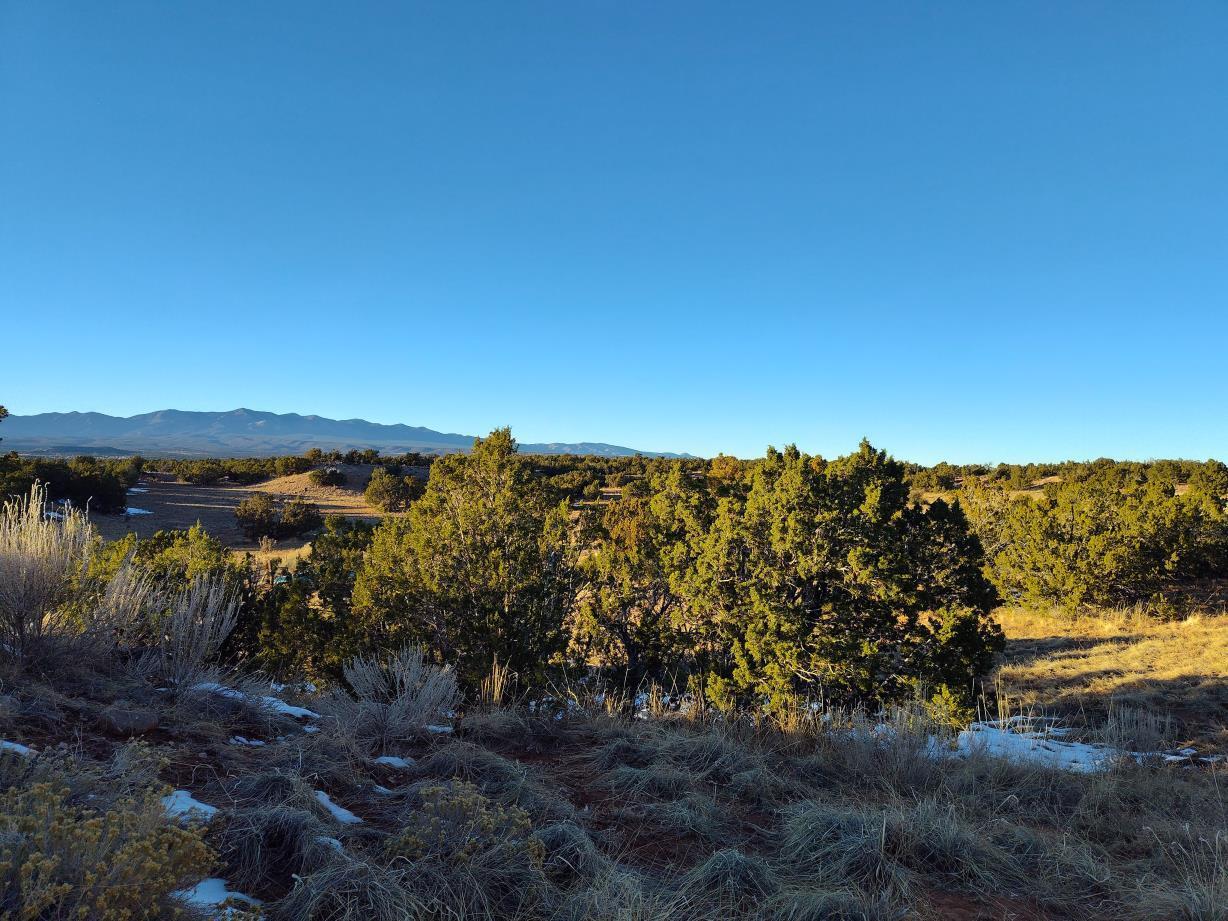 Ravine Lane, Mountainair, New Mexico image 27