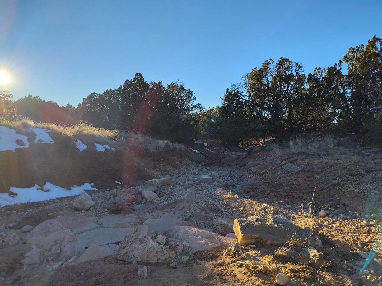 Ravine Lane, Mountainair, New Mexico image 23