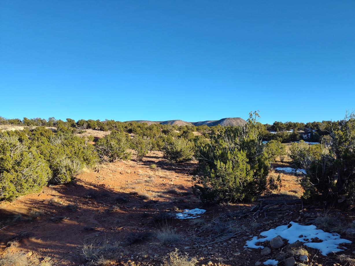 Ravine Lane, Mountainair, New Mexico image 11