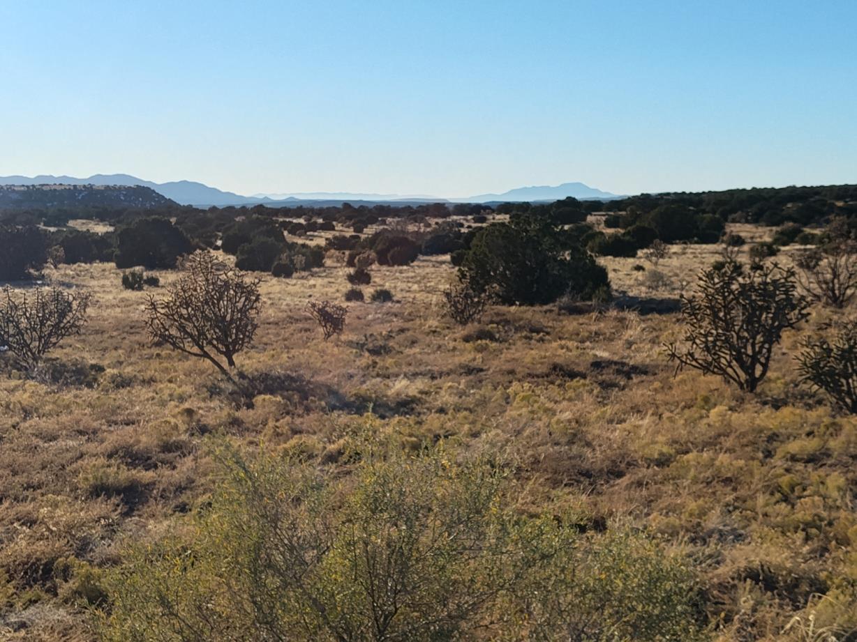 Ravine Lane, Mountainair, New Mexico image 20