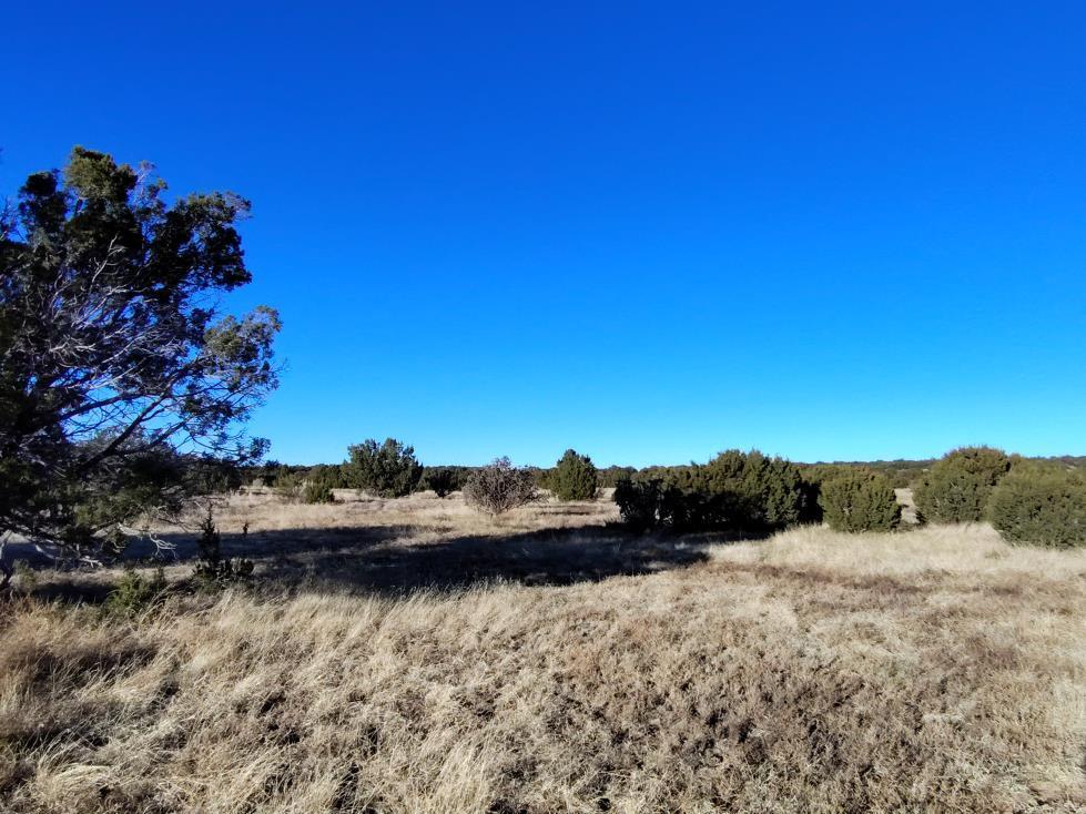 Ravine Lane, Mountainair, New Mexico image 18