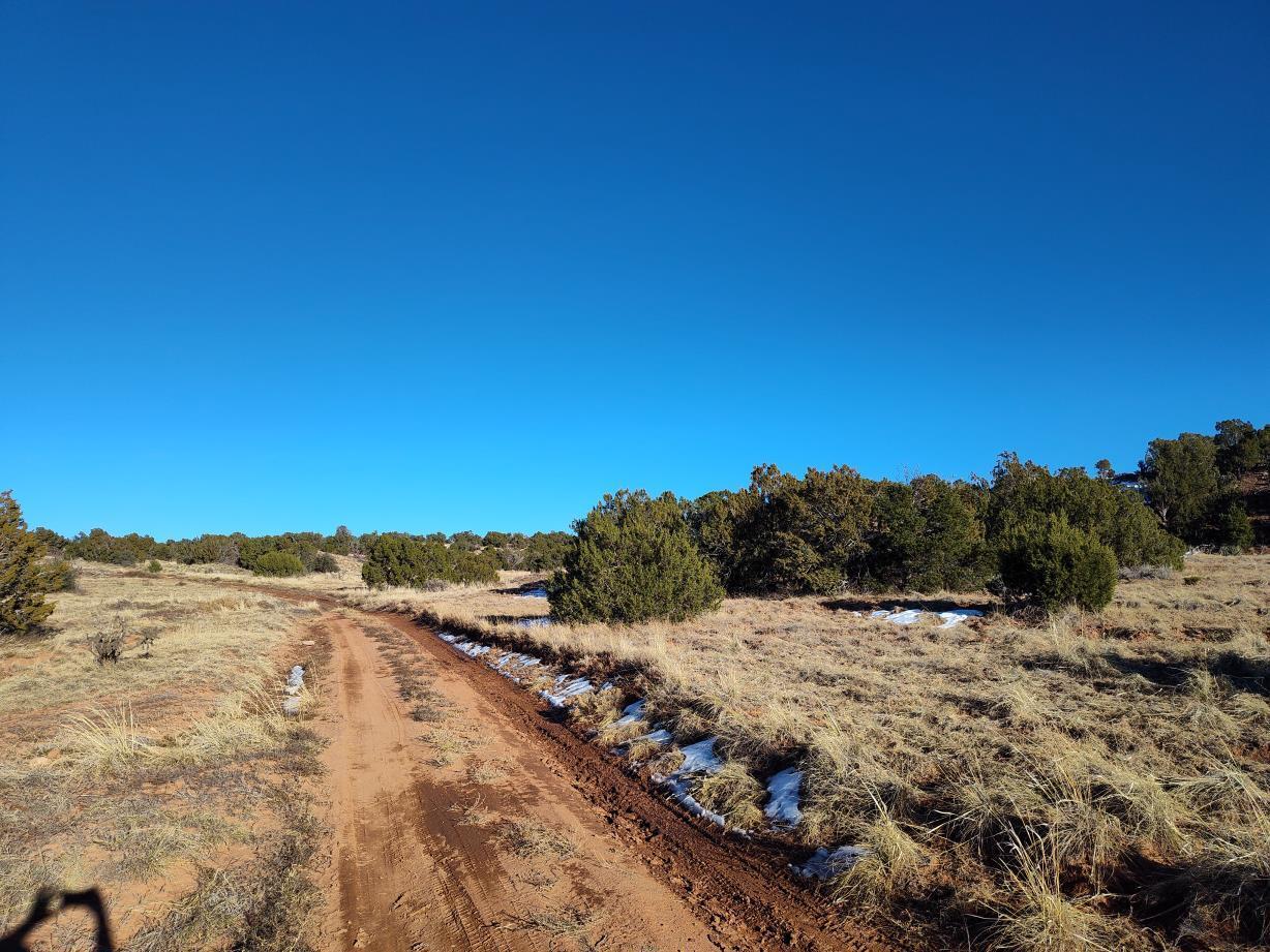 Ravine Lane, Mountainair, New Mexico image 7