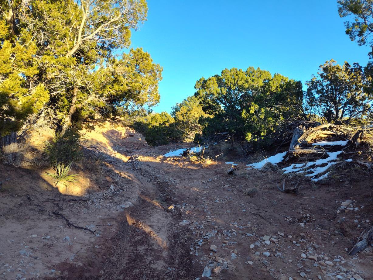 Ravine Lane, Mountainair, New Mexico image 24